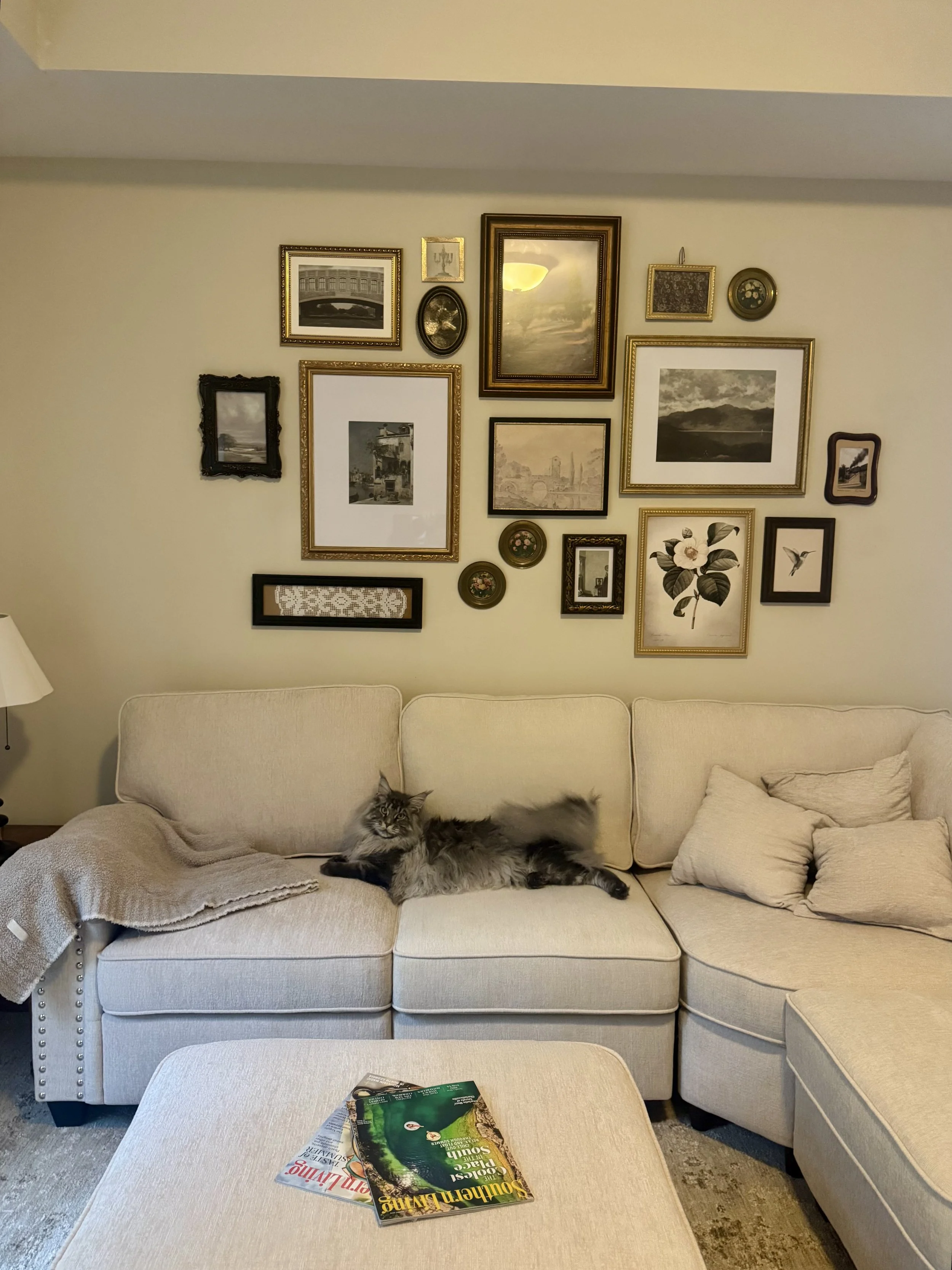 A living room with a beige sofa, a blanket, and pillows. A tabby cat is lying on the sofa. A wall above has a gallery of framed pictures, artwork, and decorative plates.