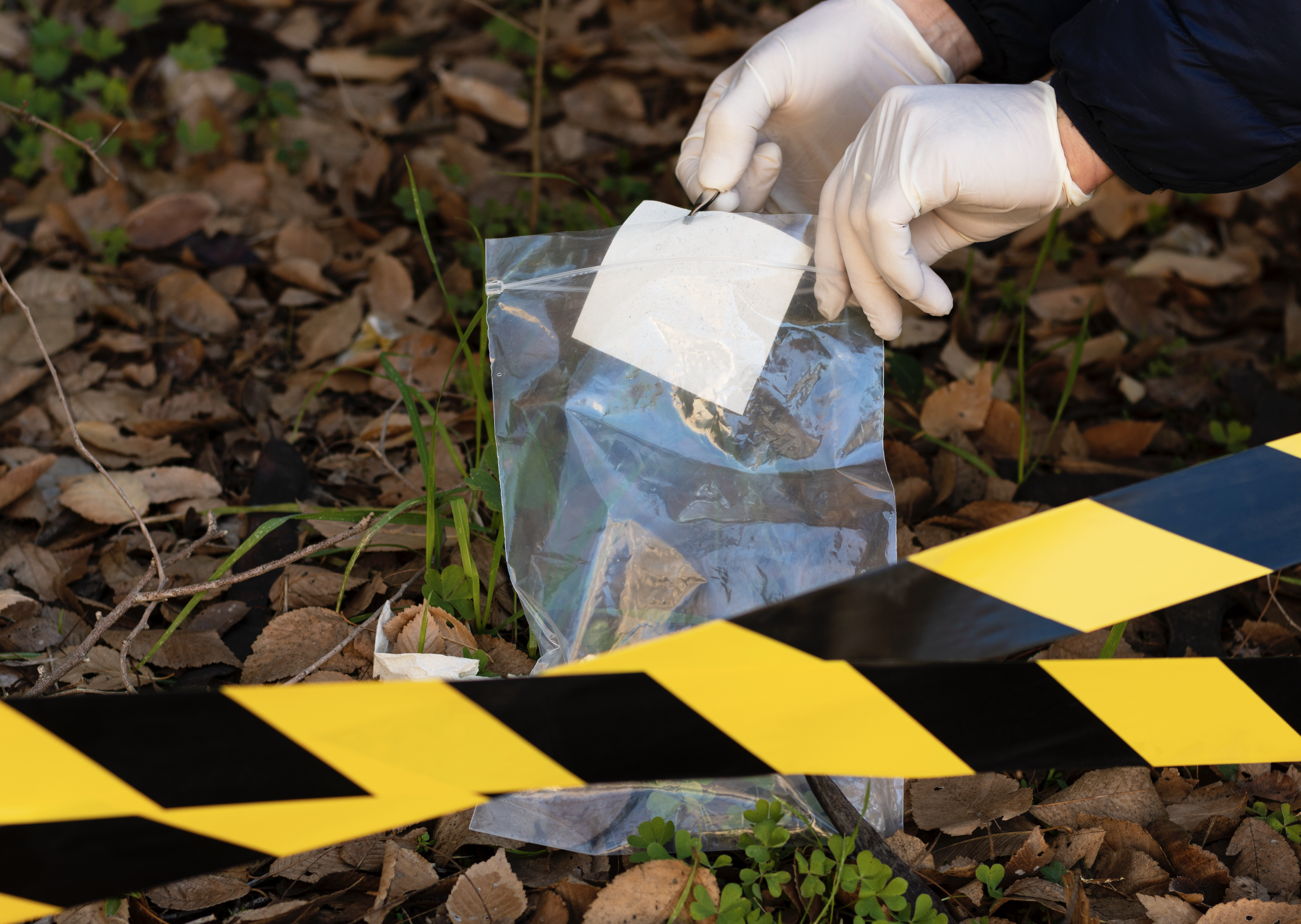 A person wearing gloves is collecting evidence in a plastic bag at a crime scene marked with yellow and black police tape, with dried leaves and small green plants on the ground.