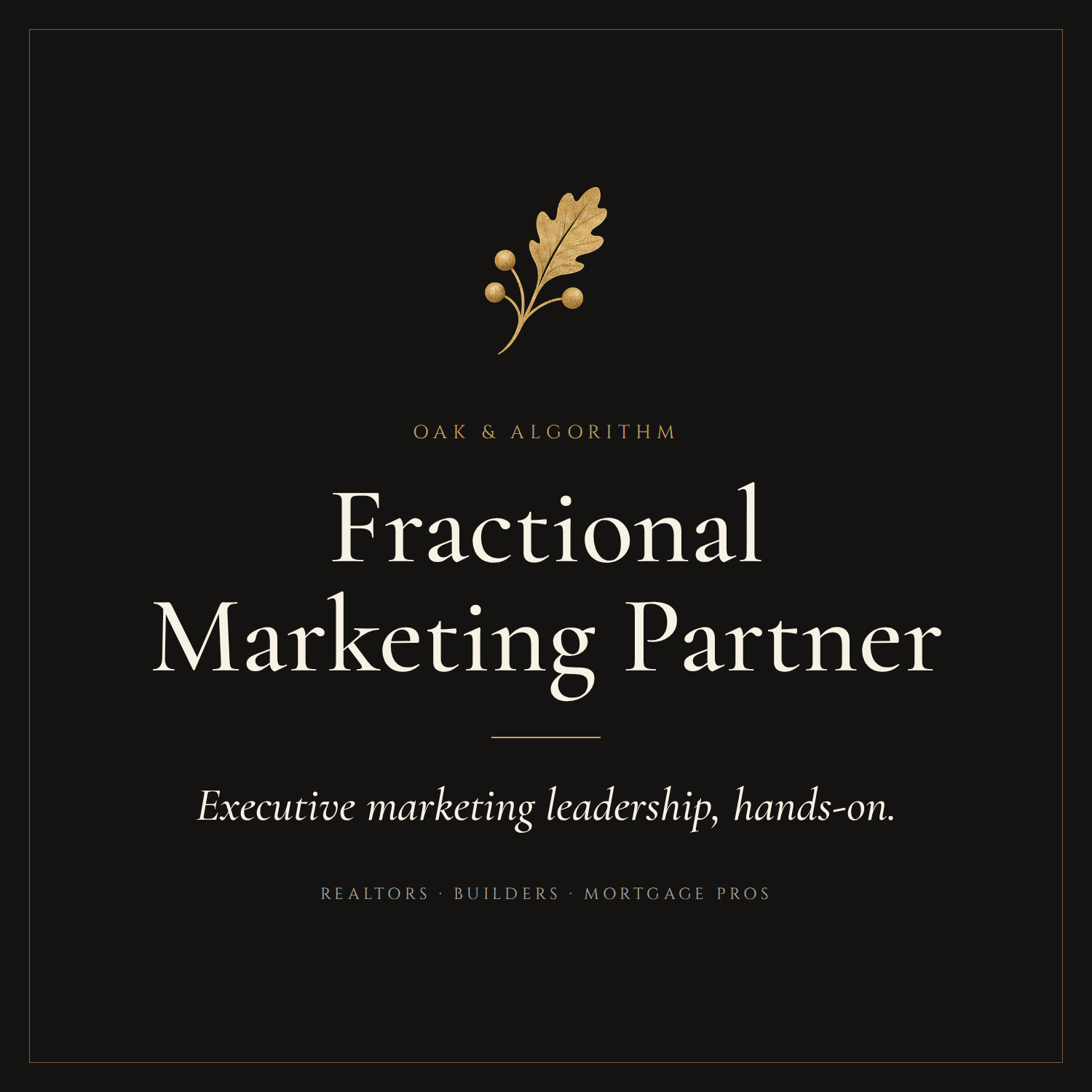 Fractional Marketing Partner