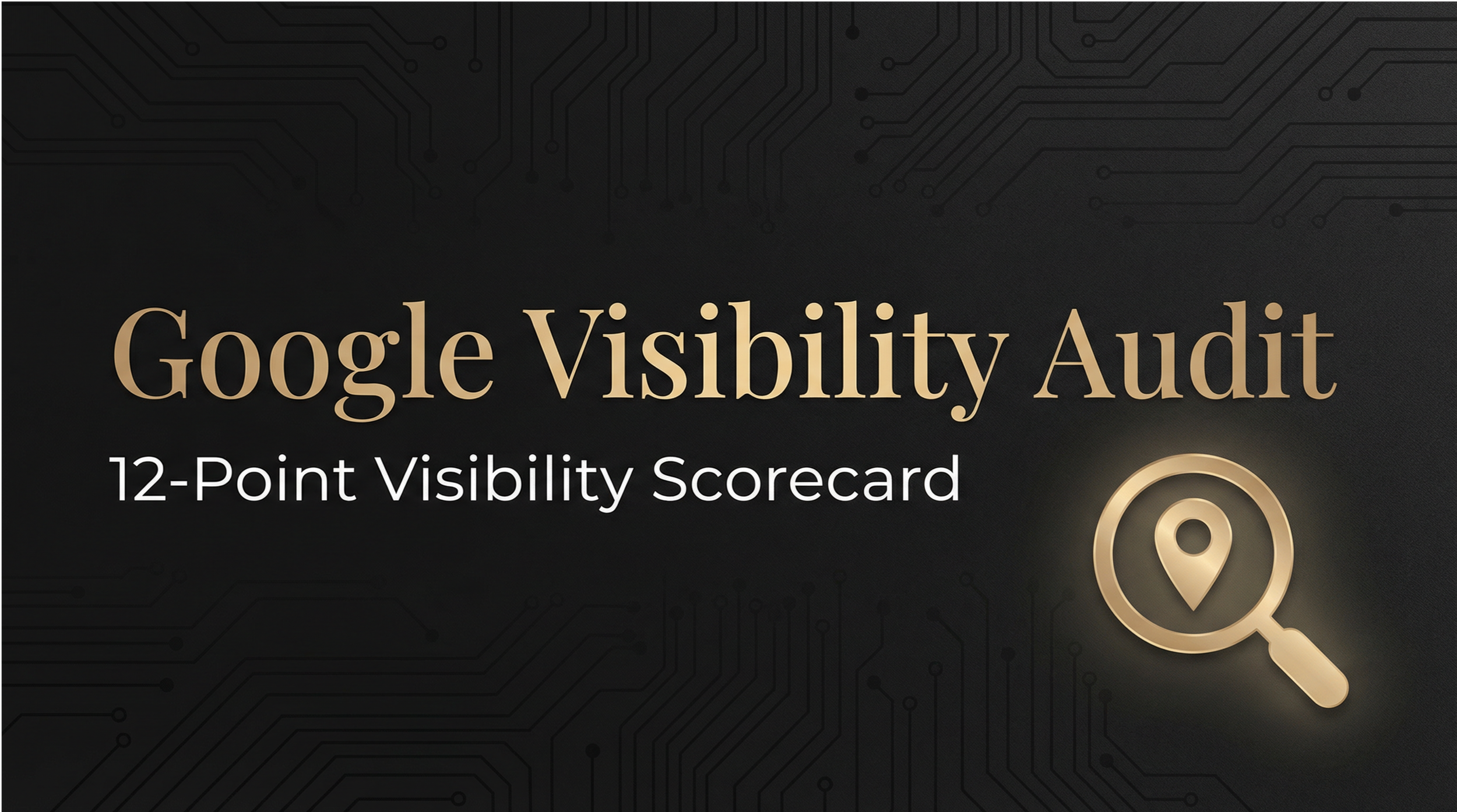 google_visibility_audit.png