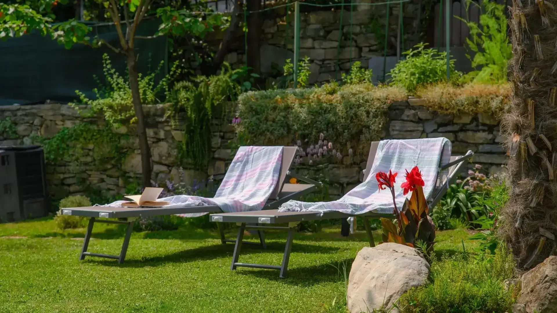 Garden with sun loungers