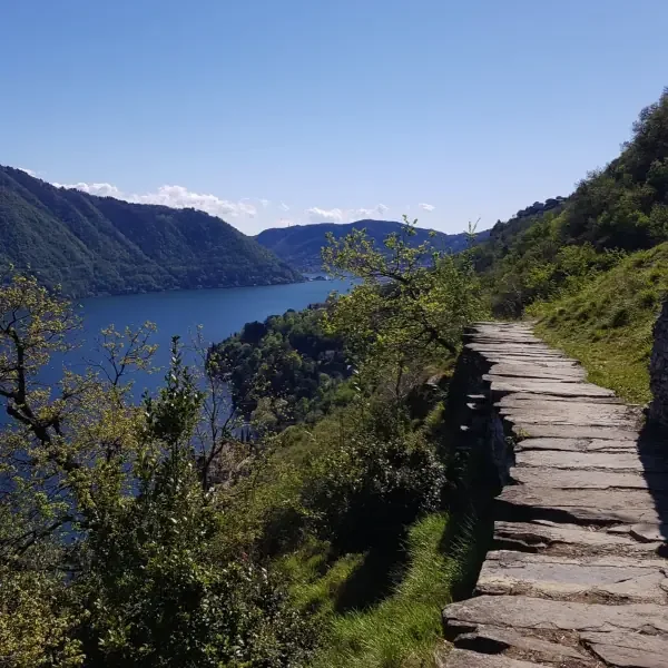 Rovenna-Casarico Sentee di Sort