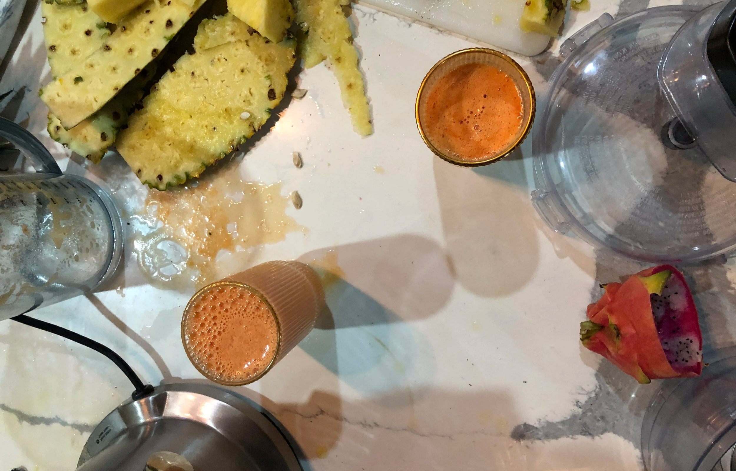 Today’s No School Experiment