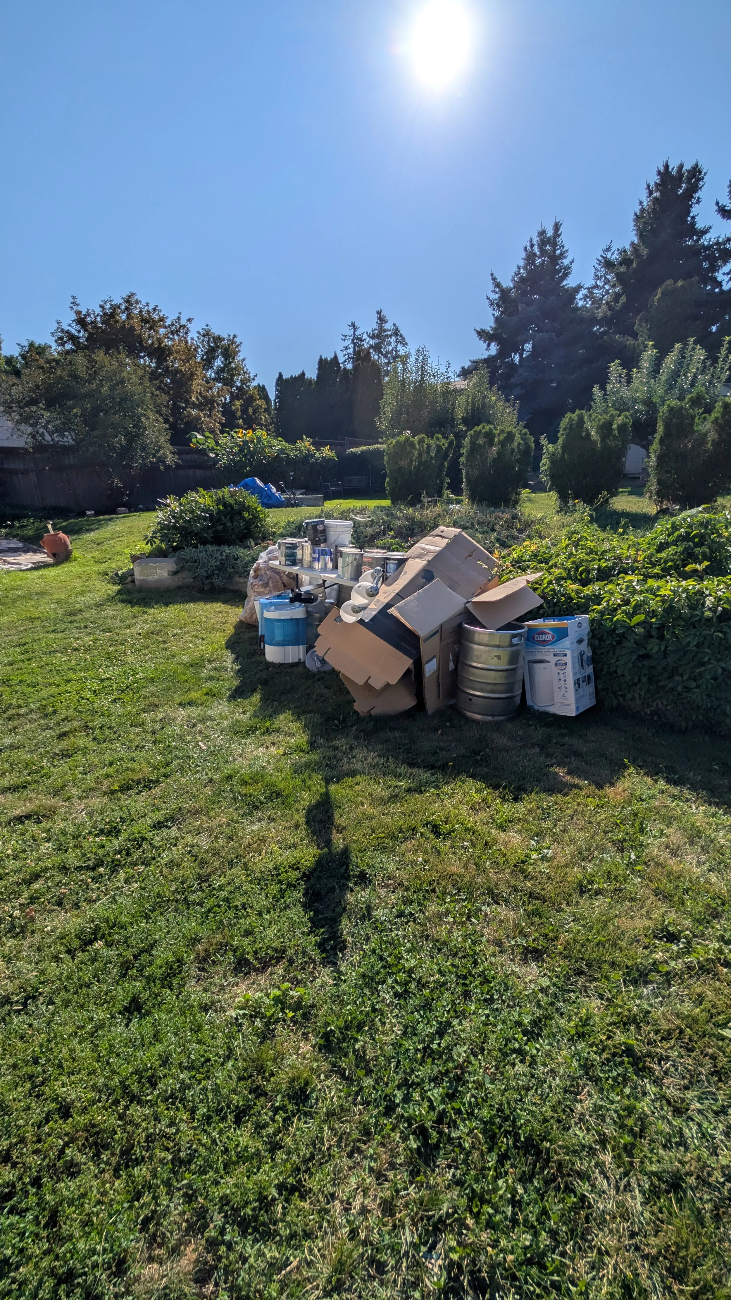 Piles of discarded cardboard boxes, metal barrels, and household items on grass in a backyard with trees, bushes, and a clear blue sky.