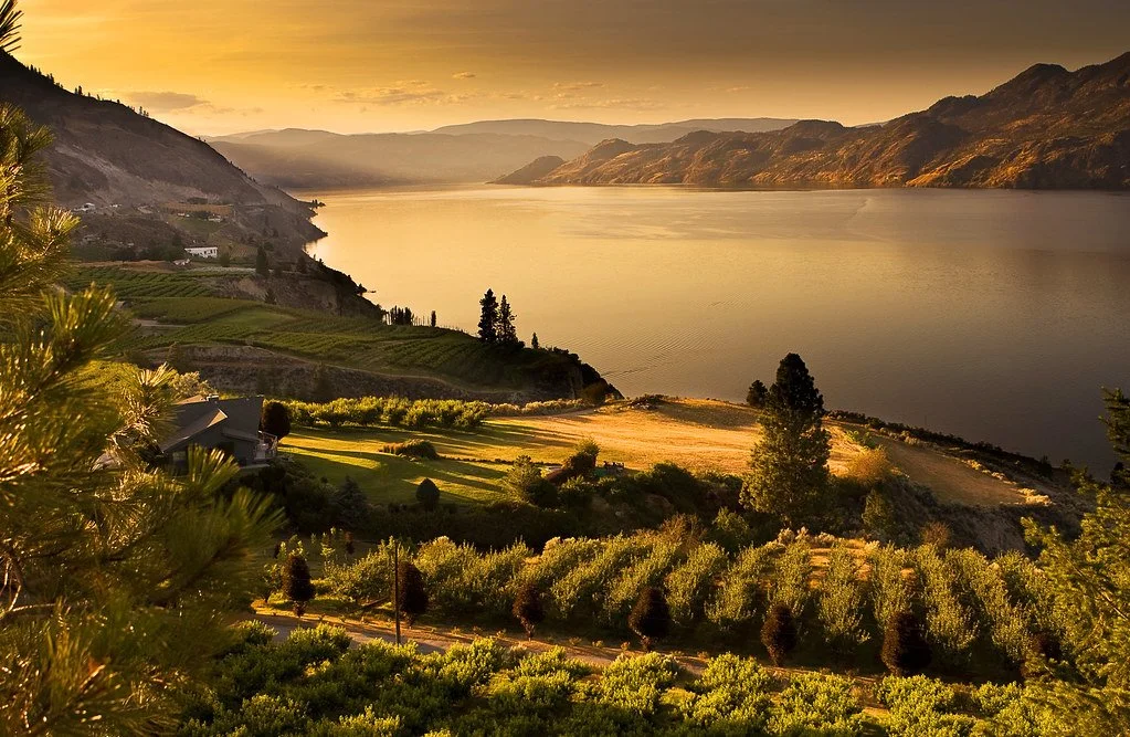 Vernon, Armstron, Lumby Junk Removal