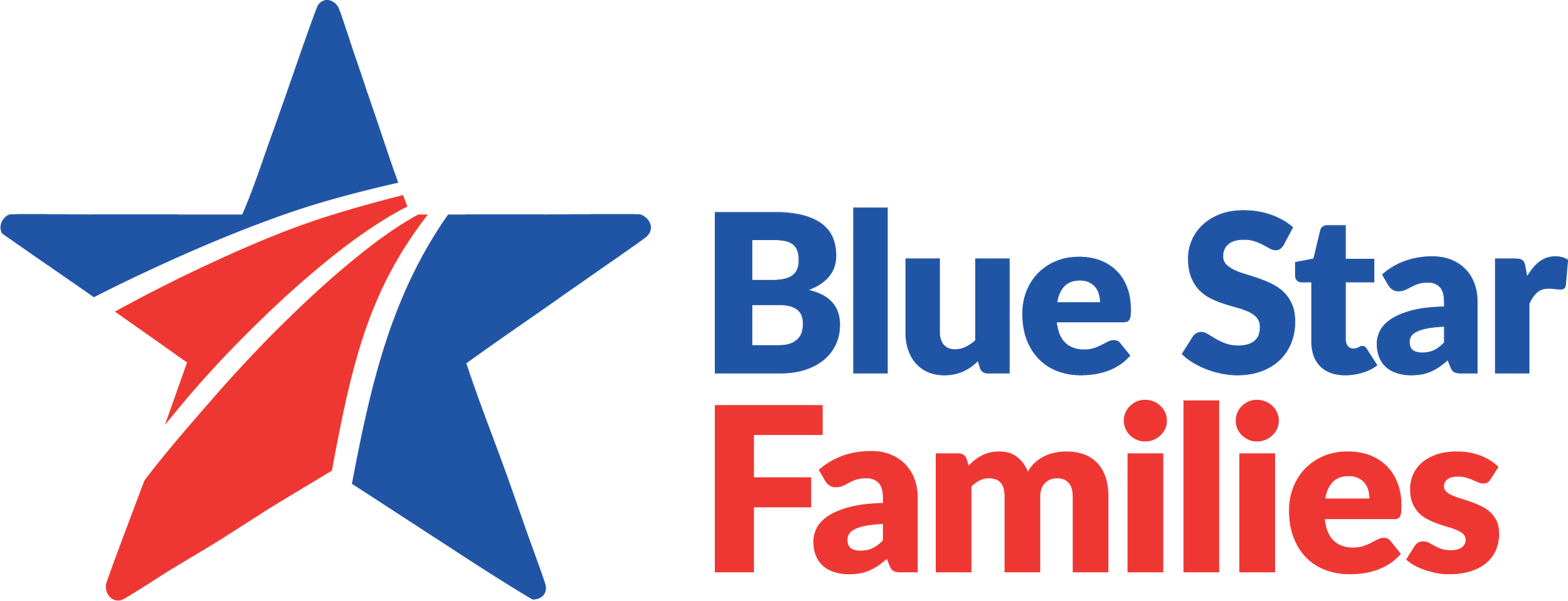 Blue Star Families Logo.png