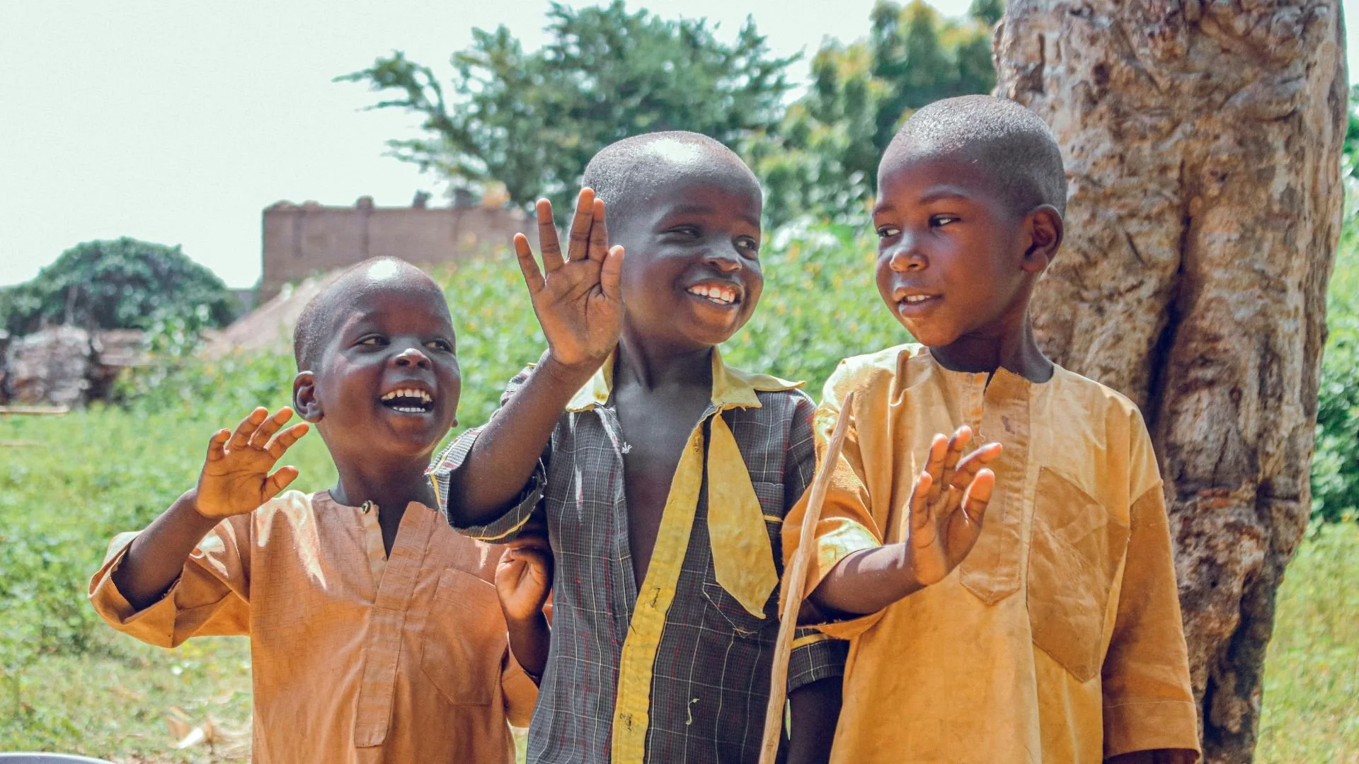 Seed Planters International | Support Growth Today