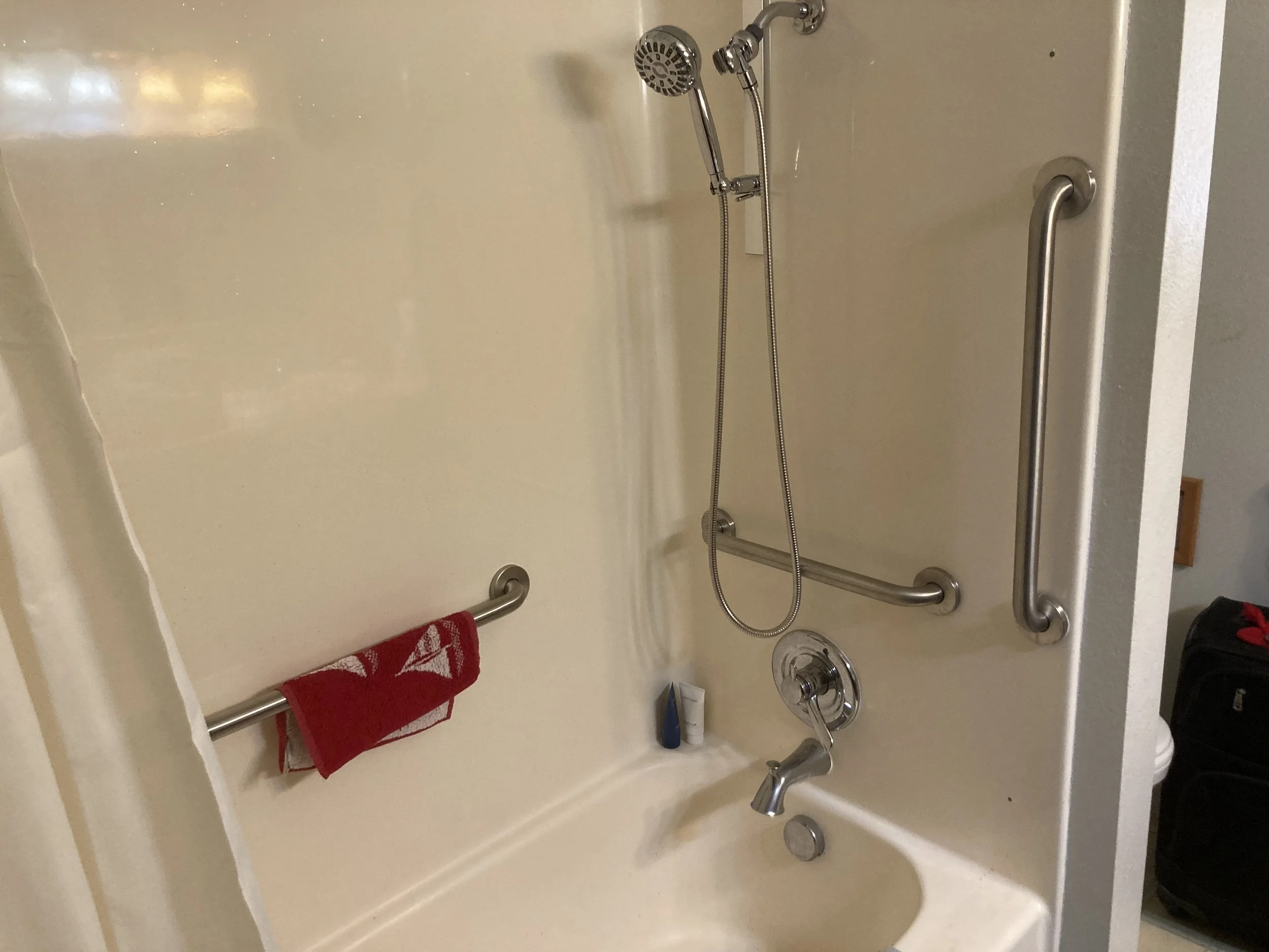 Grab bars installed