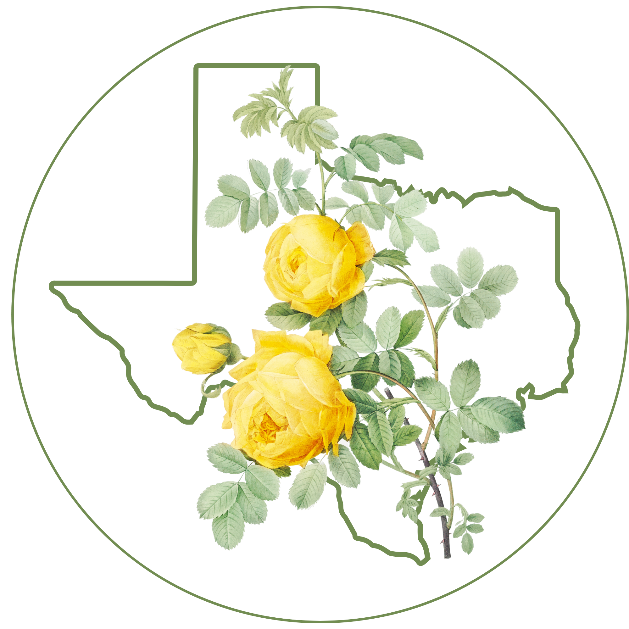 yellow rose of tx.png