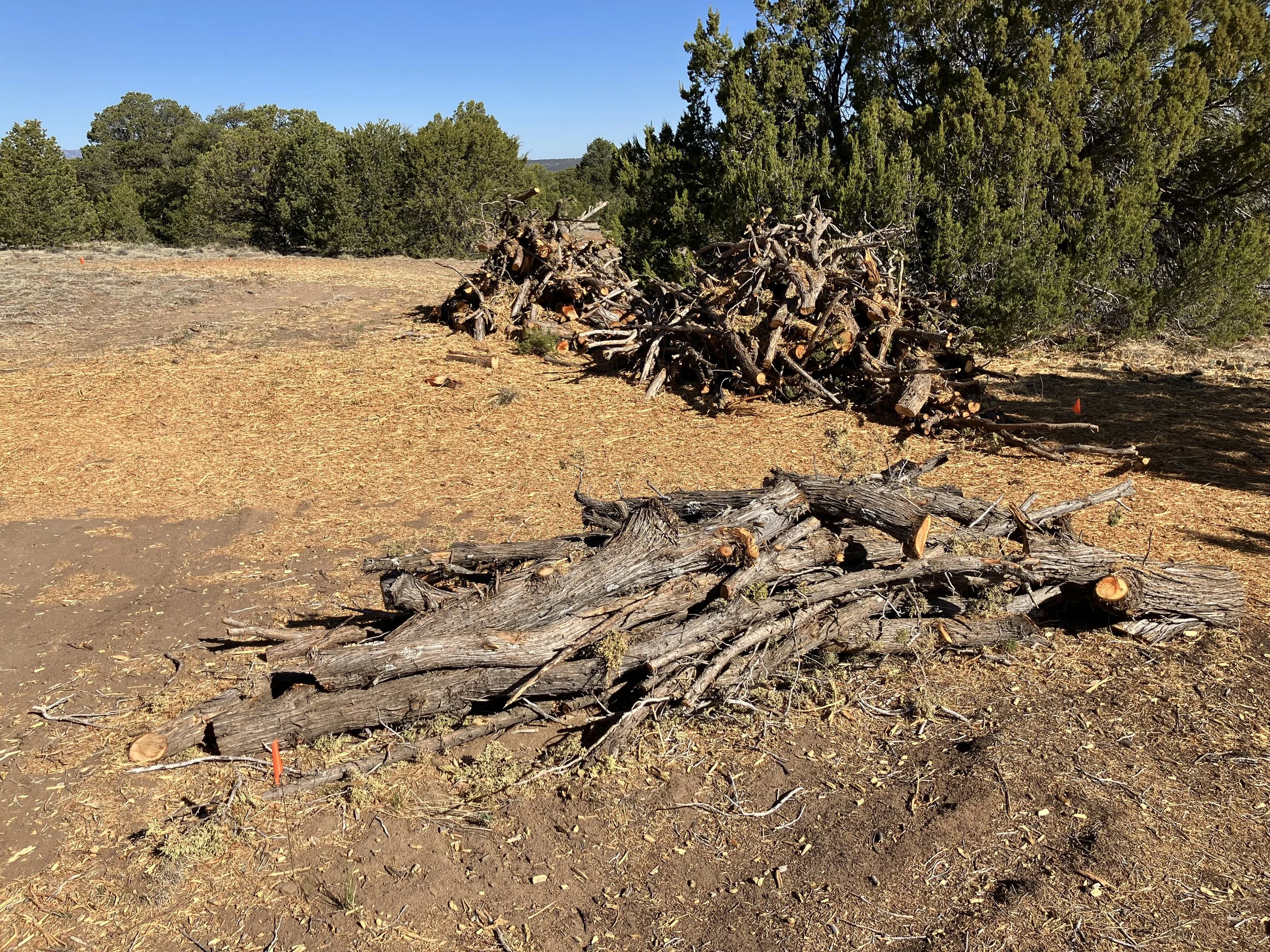 Someday You’ll Need to Stick Your Neck Out