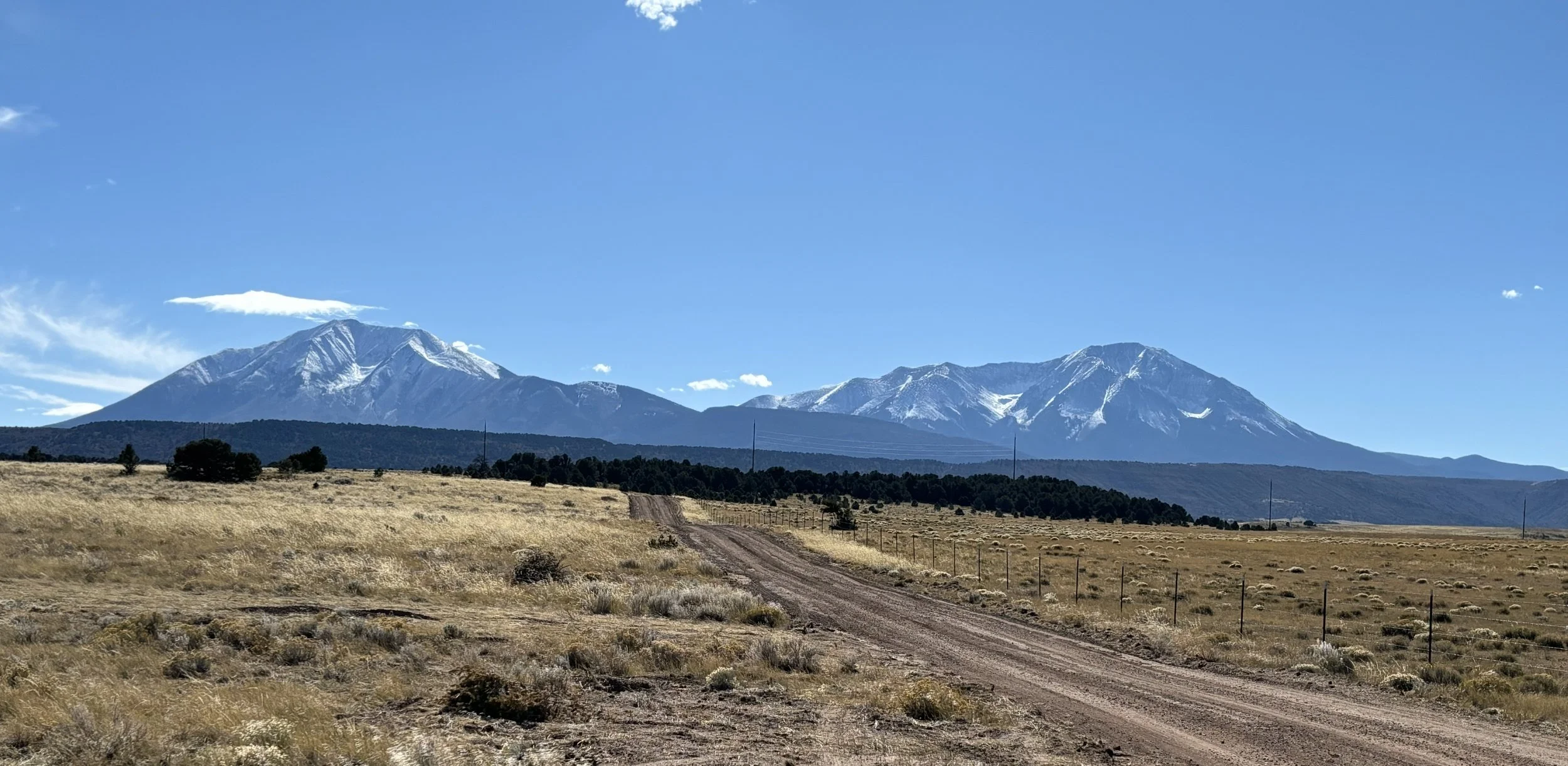 CDR Marketing in 2026