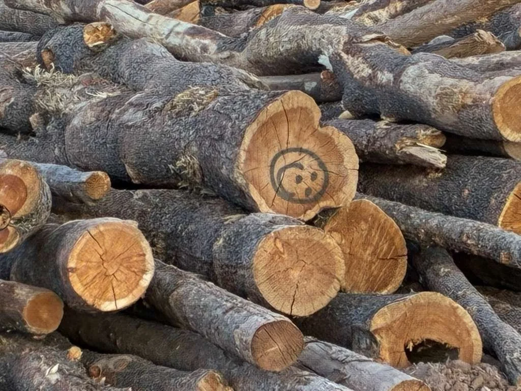 Biomass Direct Storage is an Appropriate Use of “Negative Value” Forest Residue