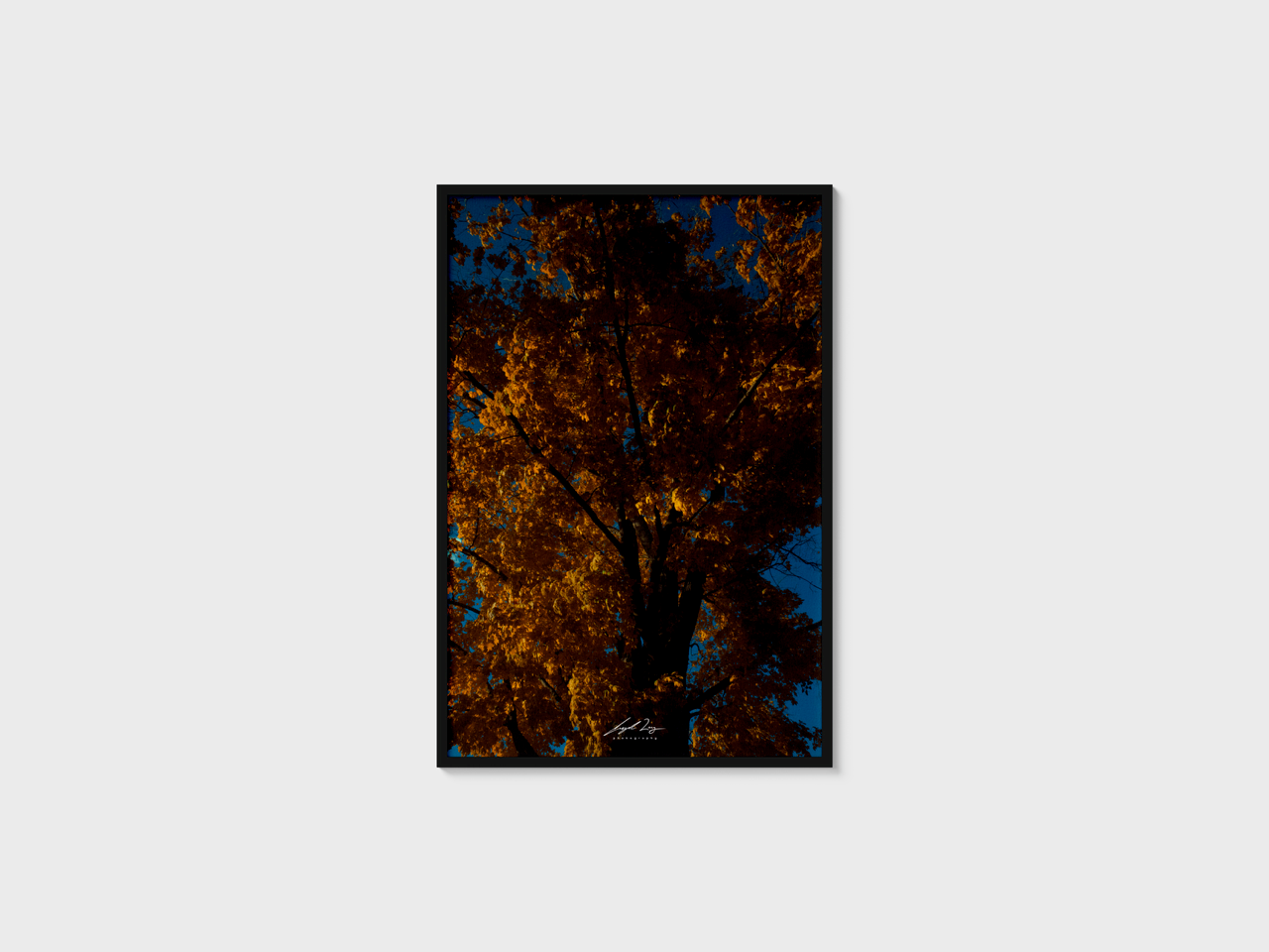 "trees" 4K Premium Poster