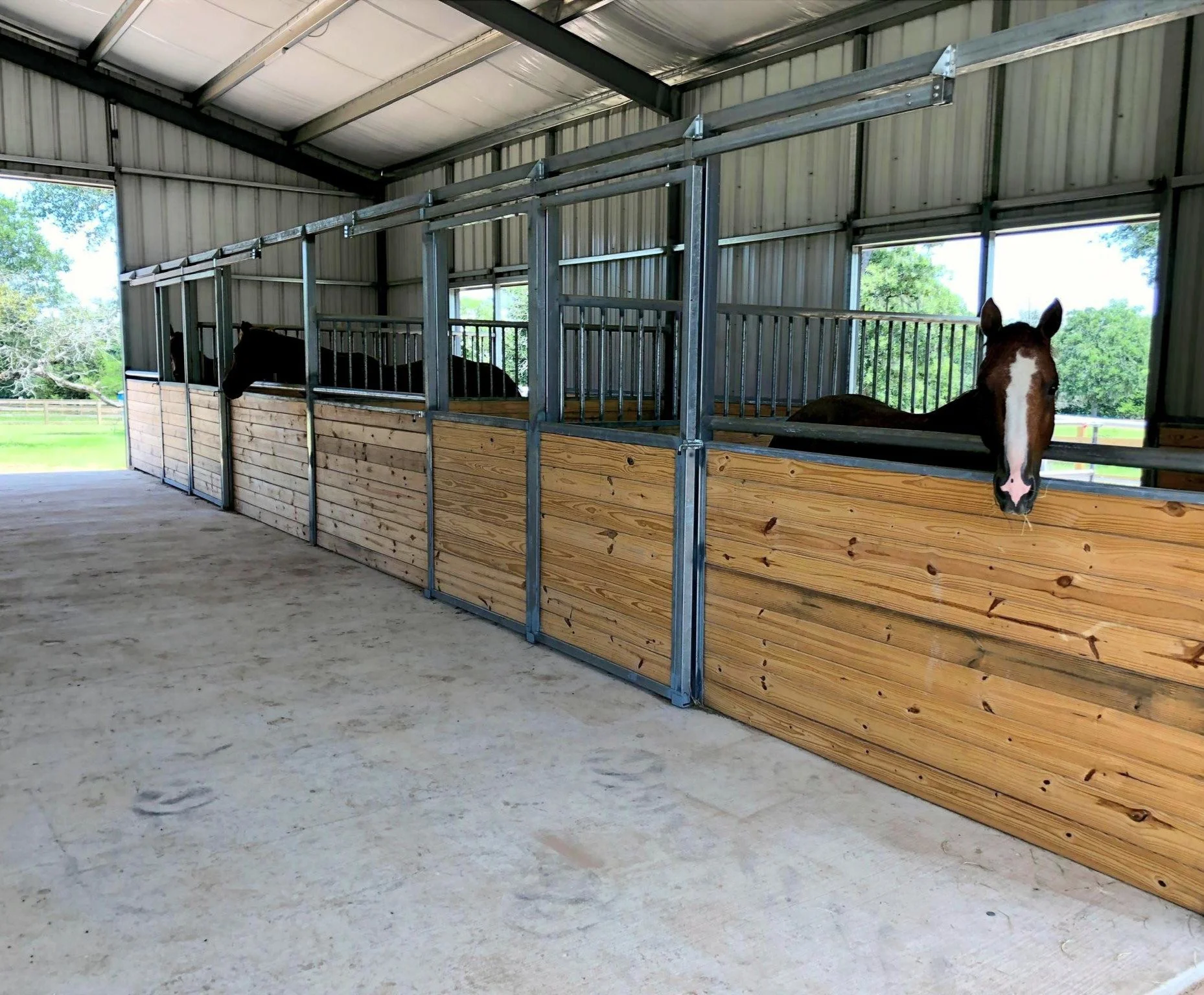 horse.barn.catspring.tx.jpg