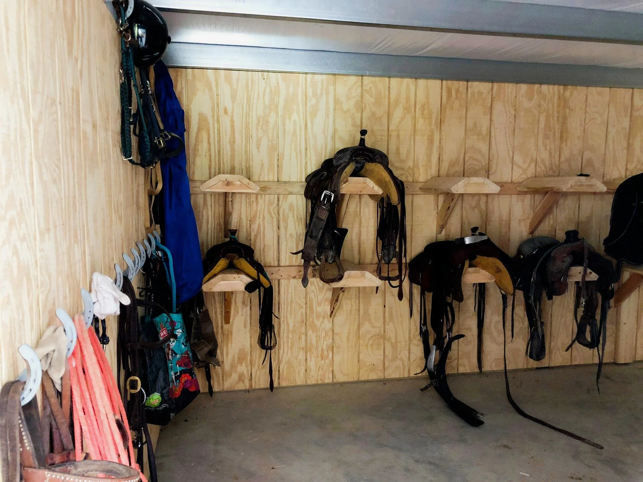 Custom tack room with saddle racks, bridle hooks, saddle pad hangers, made with pine boards in Cat Spring TX