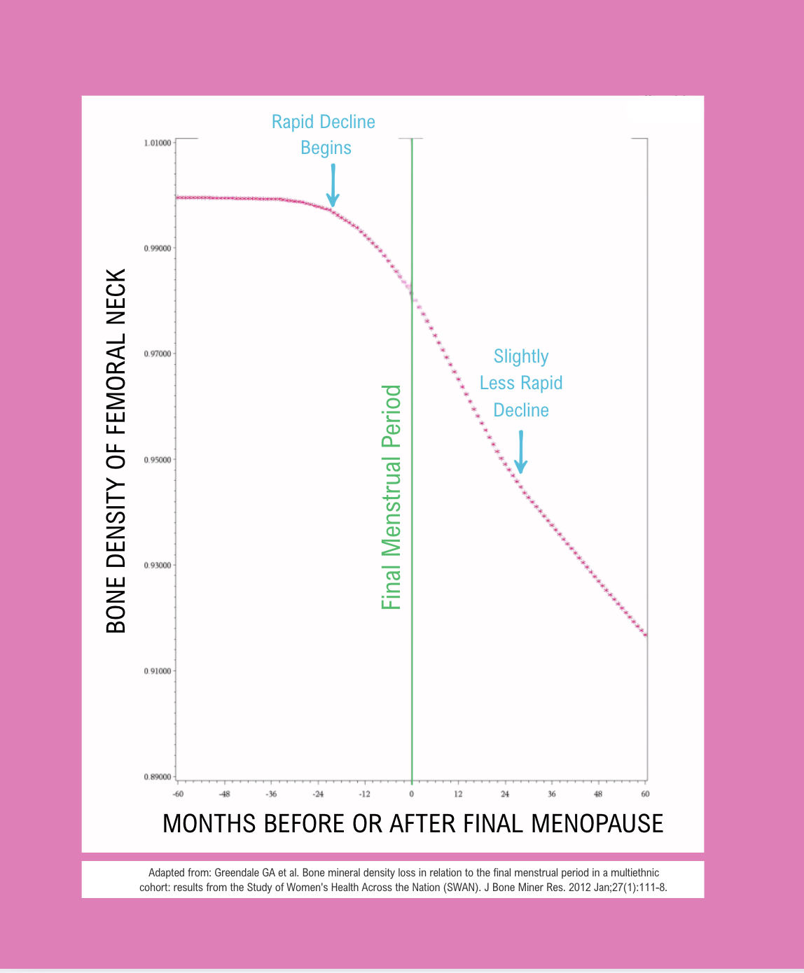 Perimenopausal Bone Loss