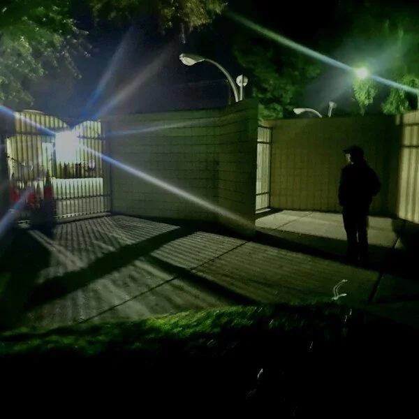 lemon bread - crow’s nest