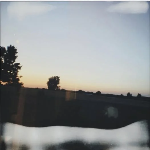 The Rise (And Fall).jpg