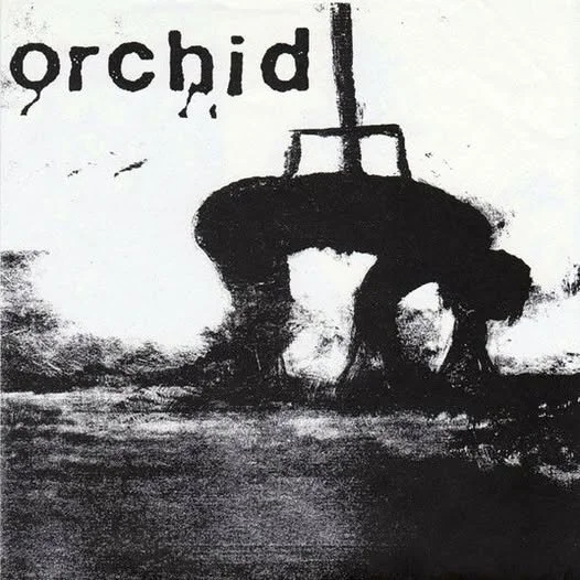 Orchid-Pig Destroyer.jpg