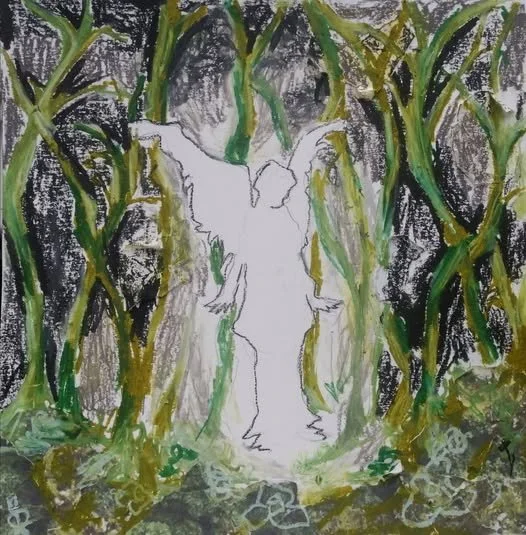 Dead Butterflies.jpg