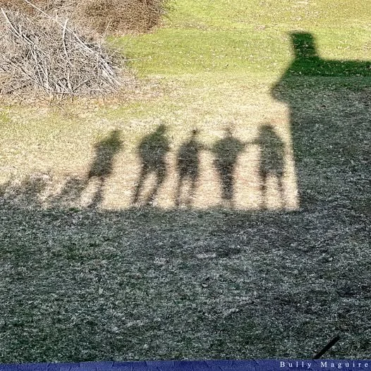 Bully Maguire.jpg