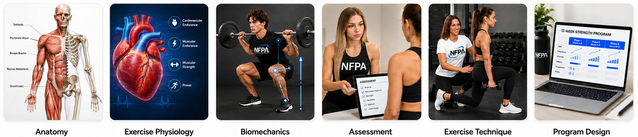 NFPA fitness education curriculum covering anatomy, exercise physiology, biomechanics, assessment, exercise technique, and program design
