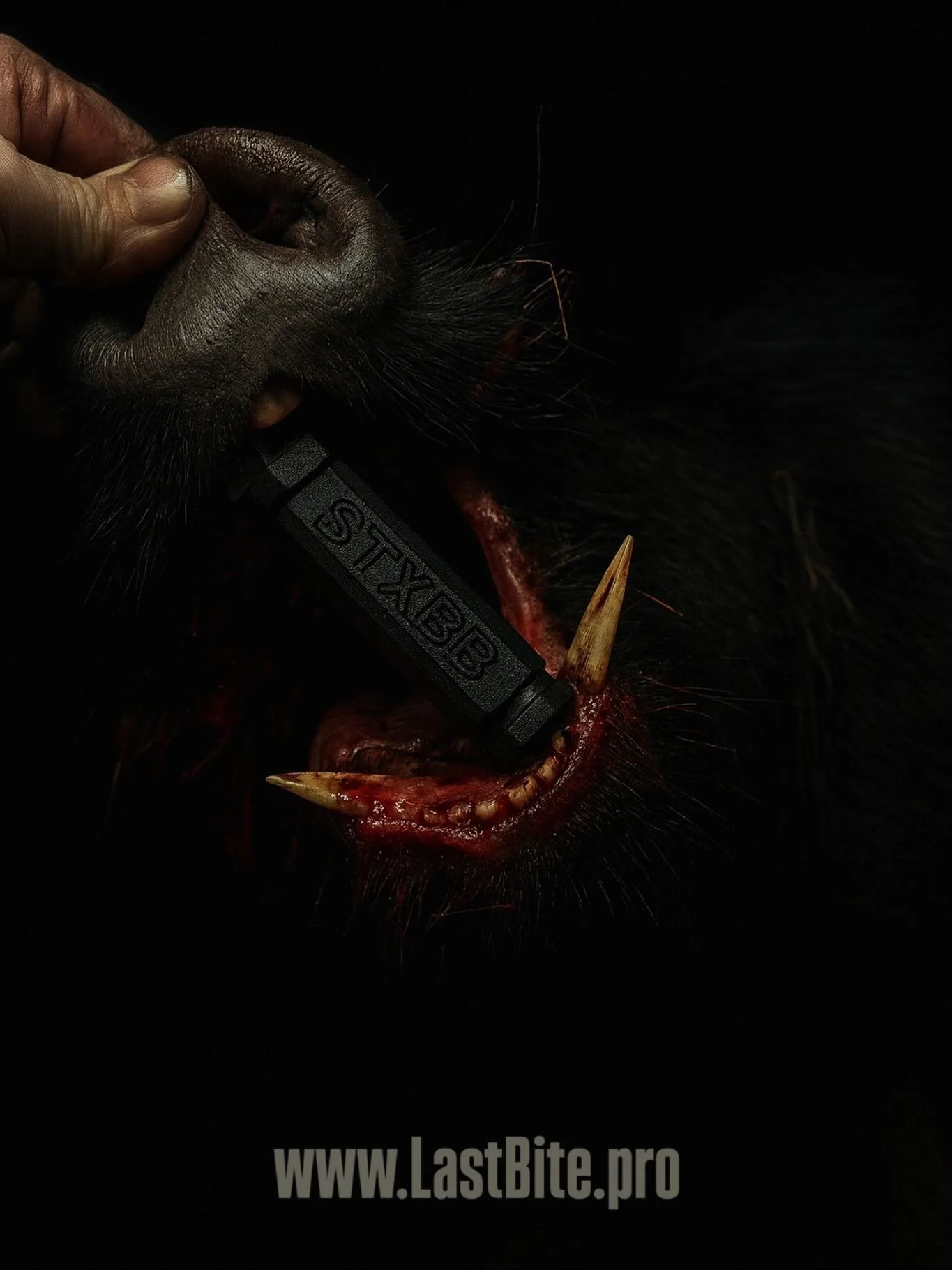 @southtexas_boarbustin does it right. 

More than a stick. Leave that shit on the ground. 

#hunt #huntingseason #huntingislife #hunting #predatorhunting #fyp