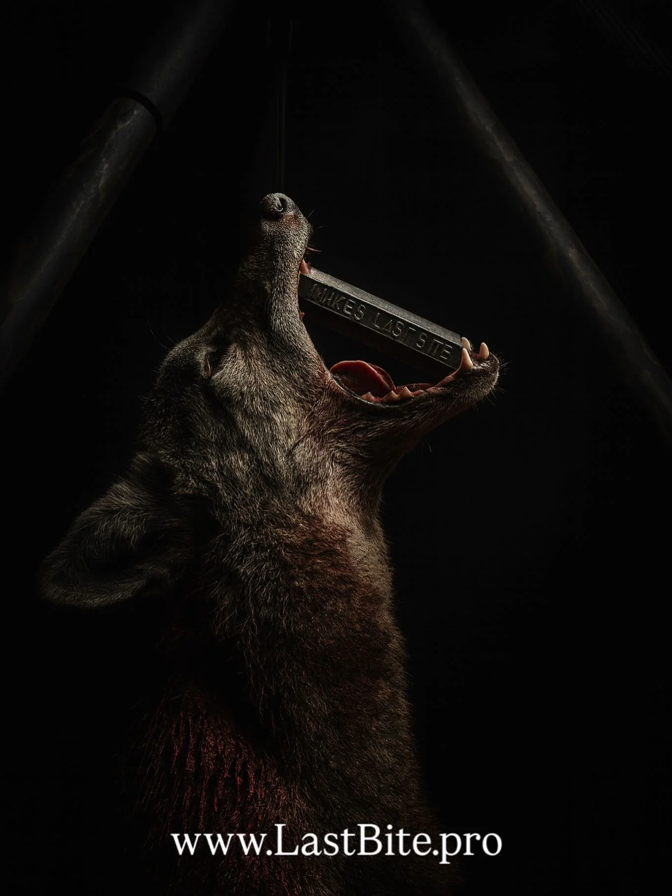 Sticks and stones will break some bones. But the Last Bite will be remembered. 

#hunt #hunting #coyotehunting #huntingislife #huntingseason #huntingthings #fyp