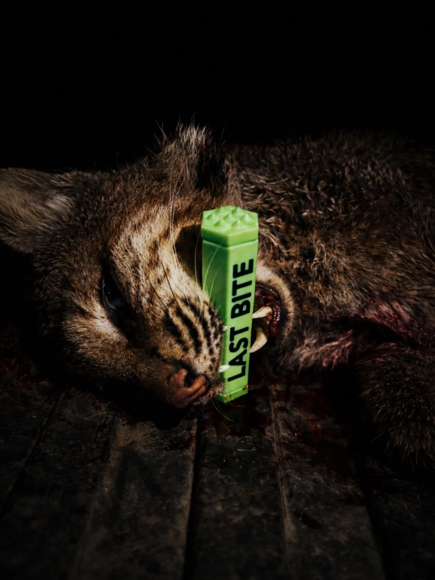 aaaand we are back.

www.LastBite.pro

#hunt #huntgram #lastbitepro #hunting #huntingseason