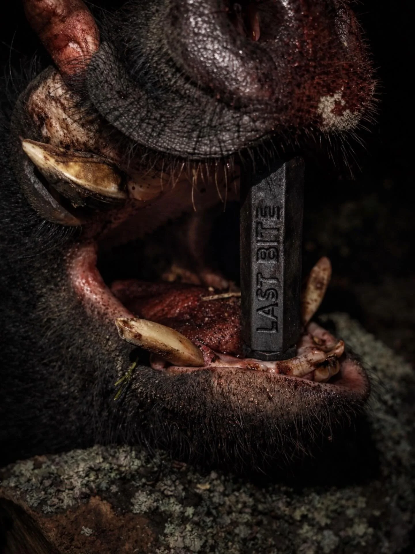 Last Bite does the trick www.LastBite.pro

#hunt #huntgram #lastbitepro #hunting #huntingseason