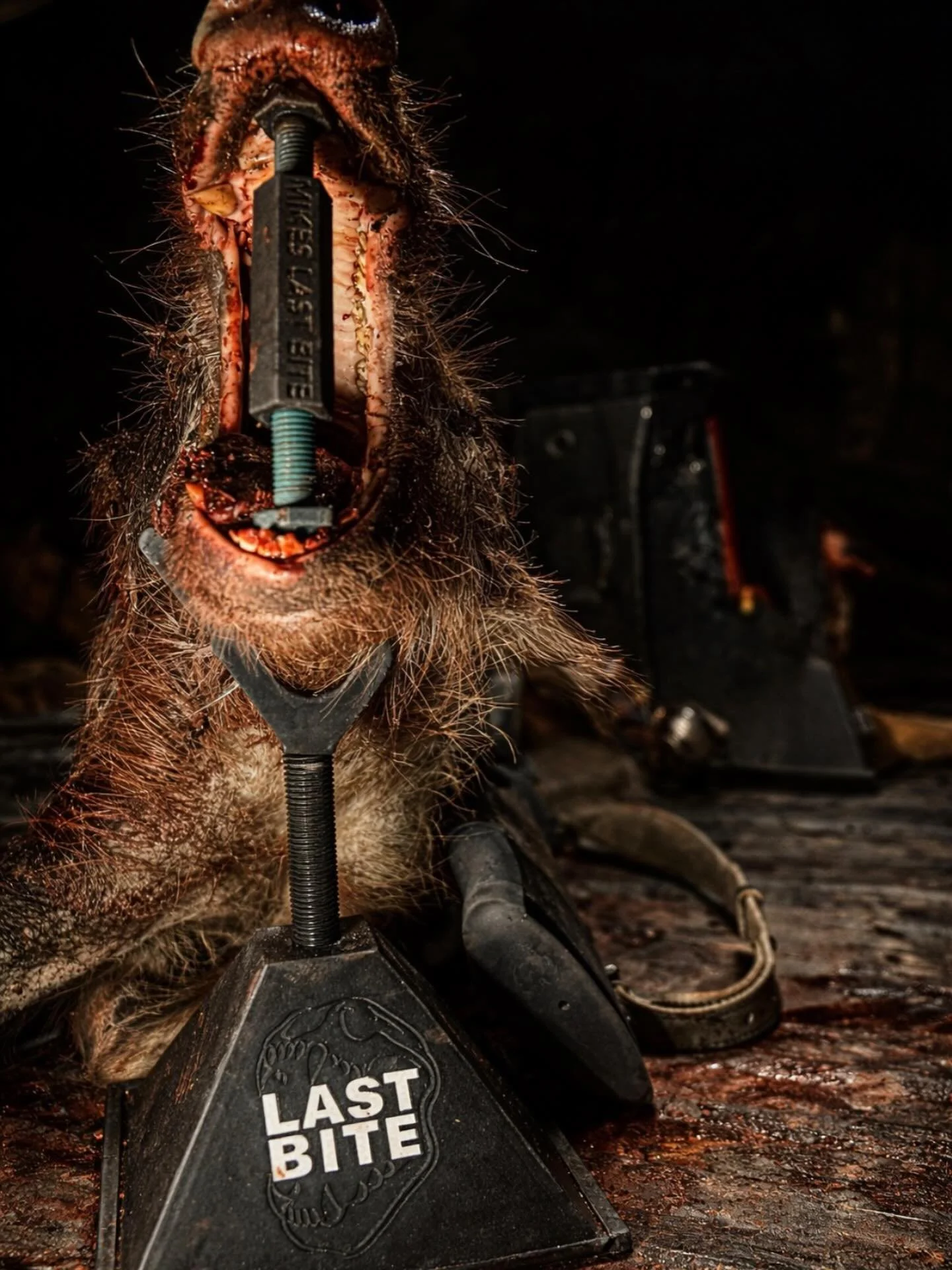The last rest &hellip;coming soon. 

#lastbitepro #hunt #hunting #huntingseason #huntinglife