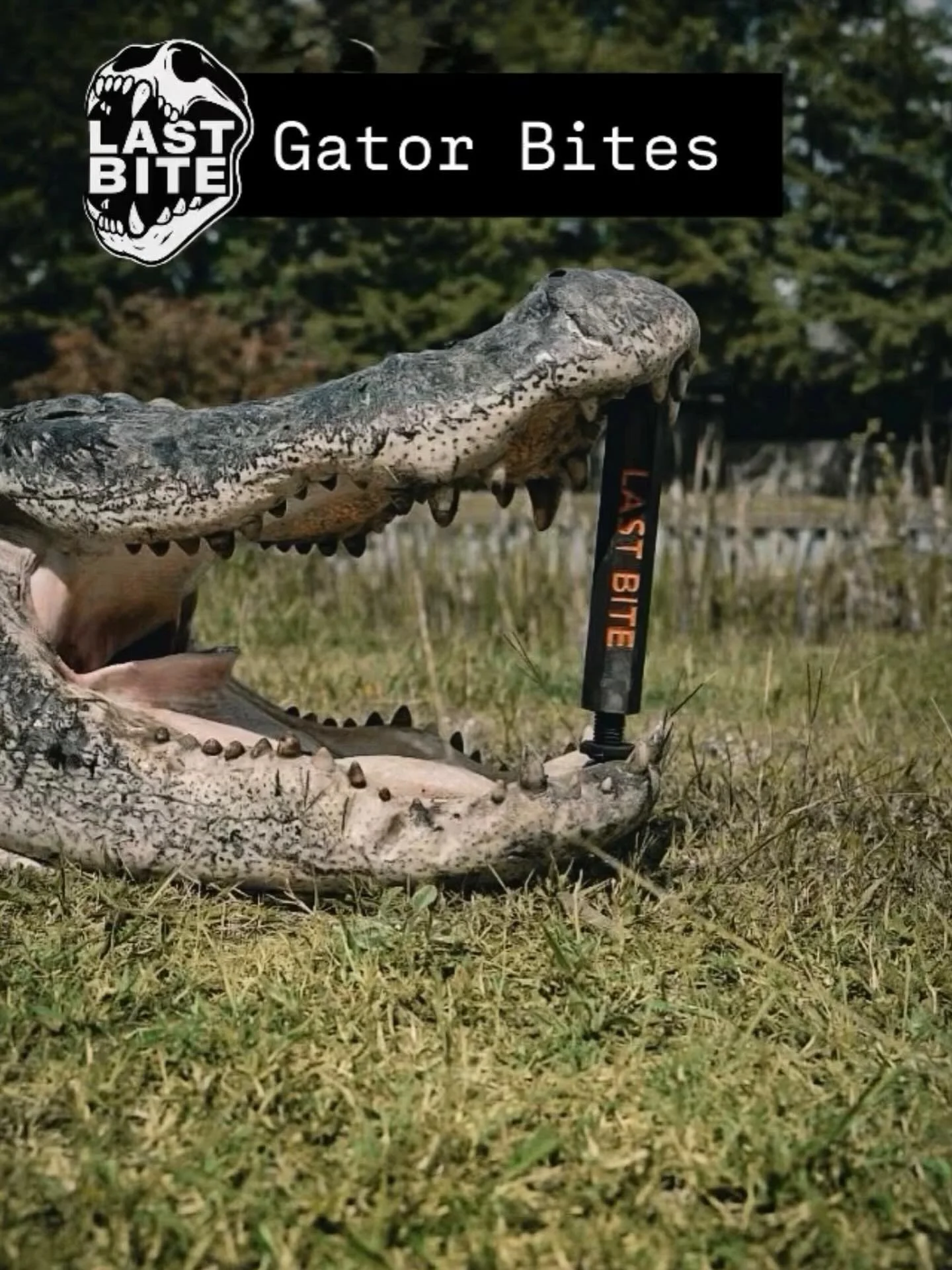 Reminder we have Gator bites for gator season 💪 🐊 

#lastbitepro #hunt #gatorhunting #gatorhunt #hunting