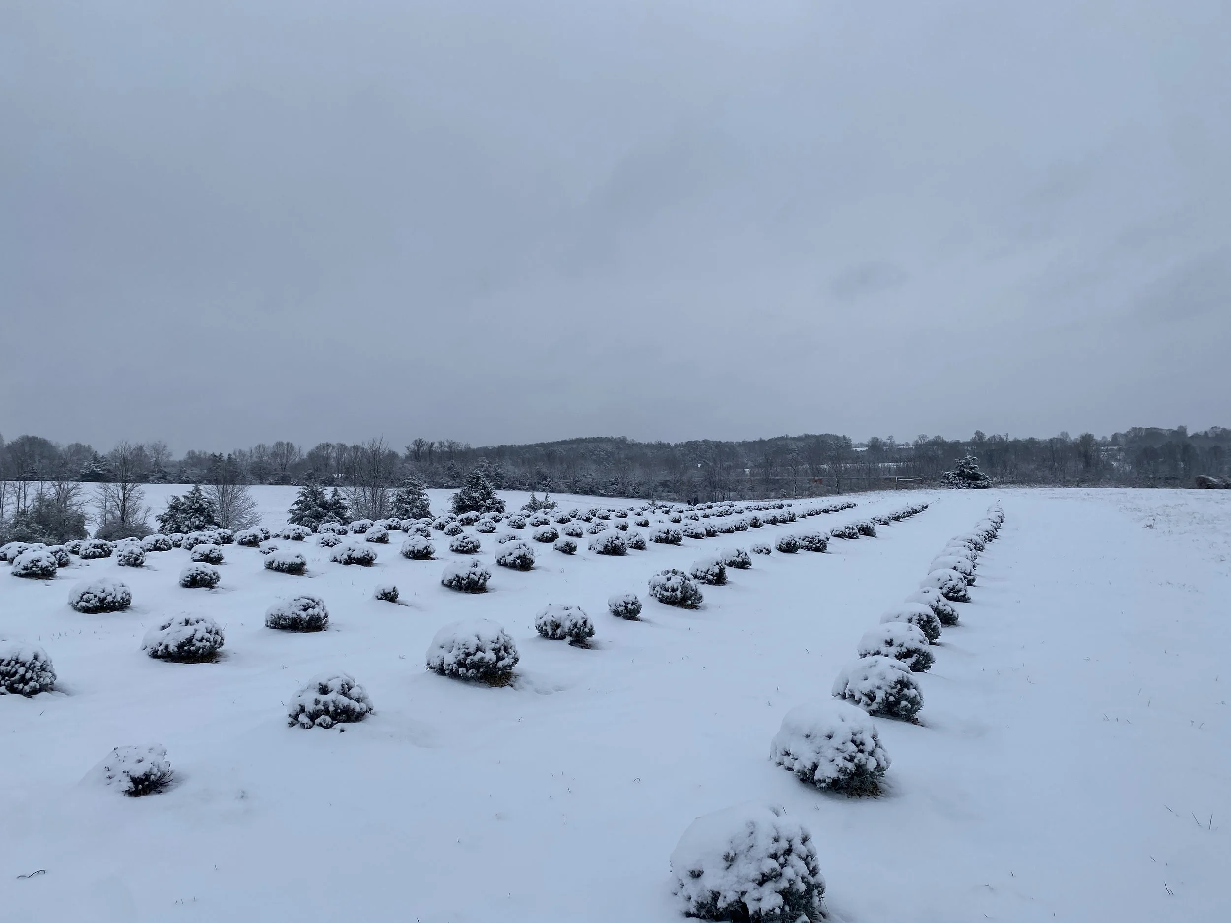 Closed for Winter Season