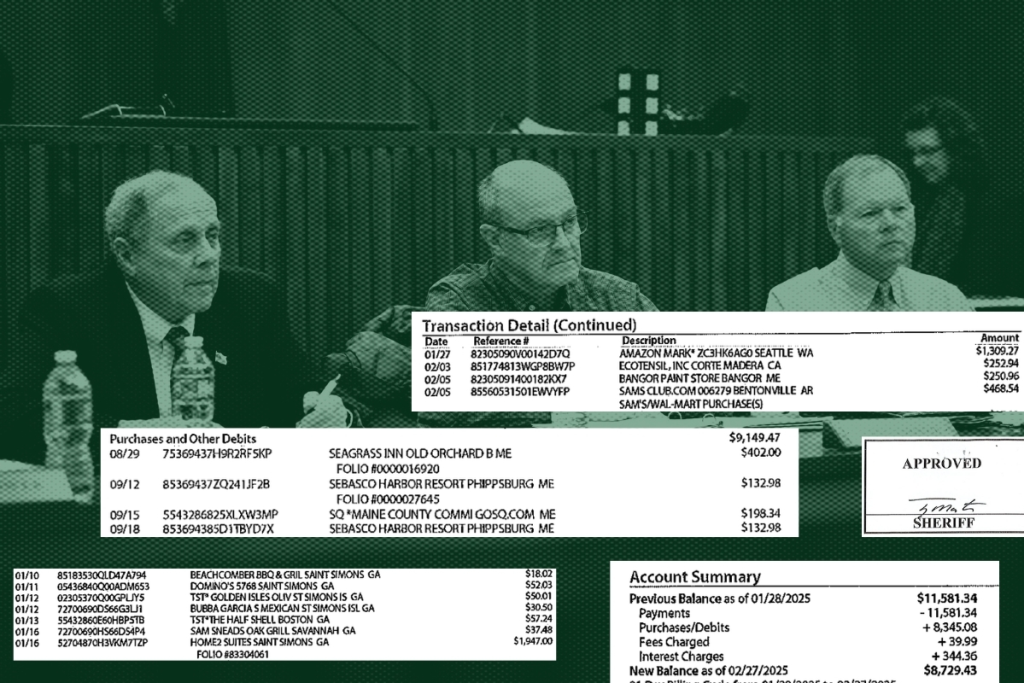 See every charge made on Penobscot County credit cards in 2025
