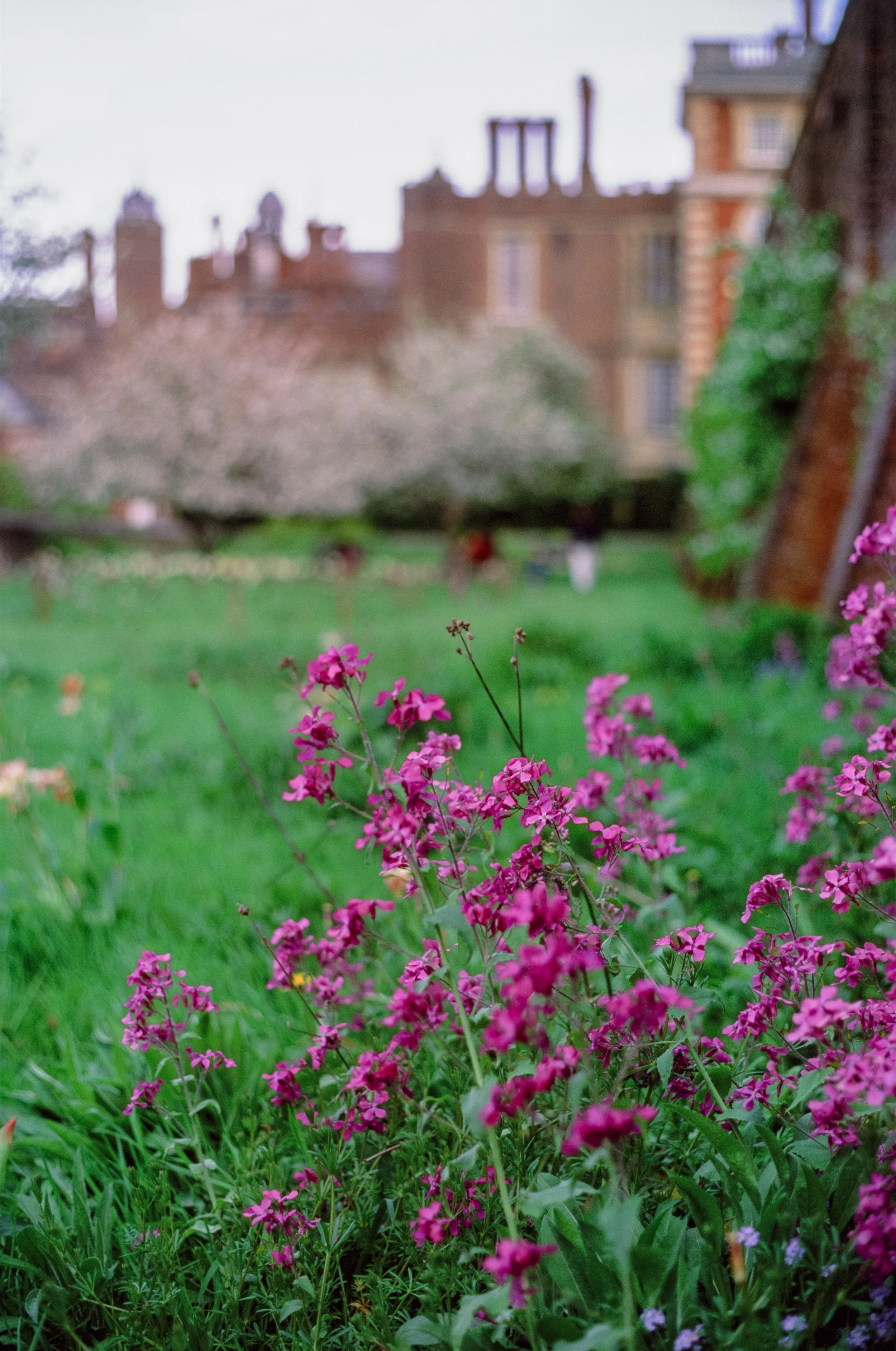 Velvia-20.jpg