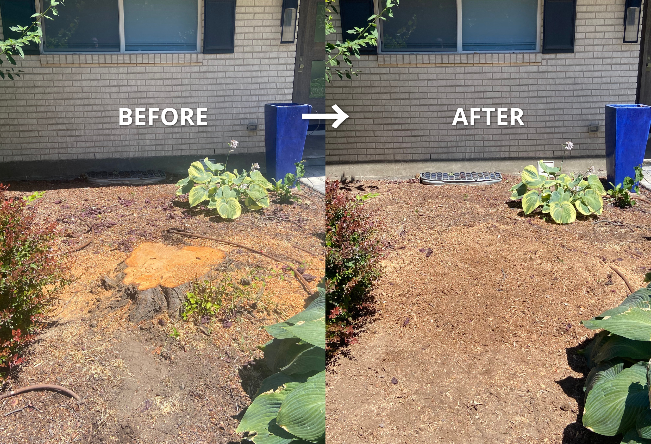 Side-by-side comparison of a house wall with a small garden in front, showing a 'before' image on the left and an 'after' image on the right. The wall has brick siding, a window, and a blue planter with a plant. The garden includes plants and soil, w