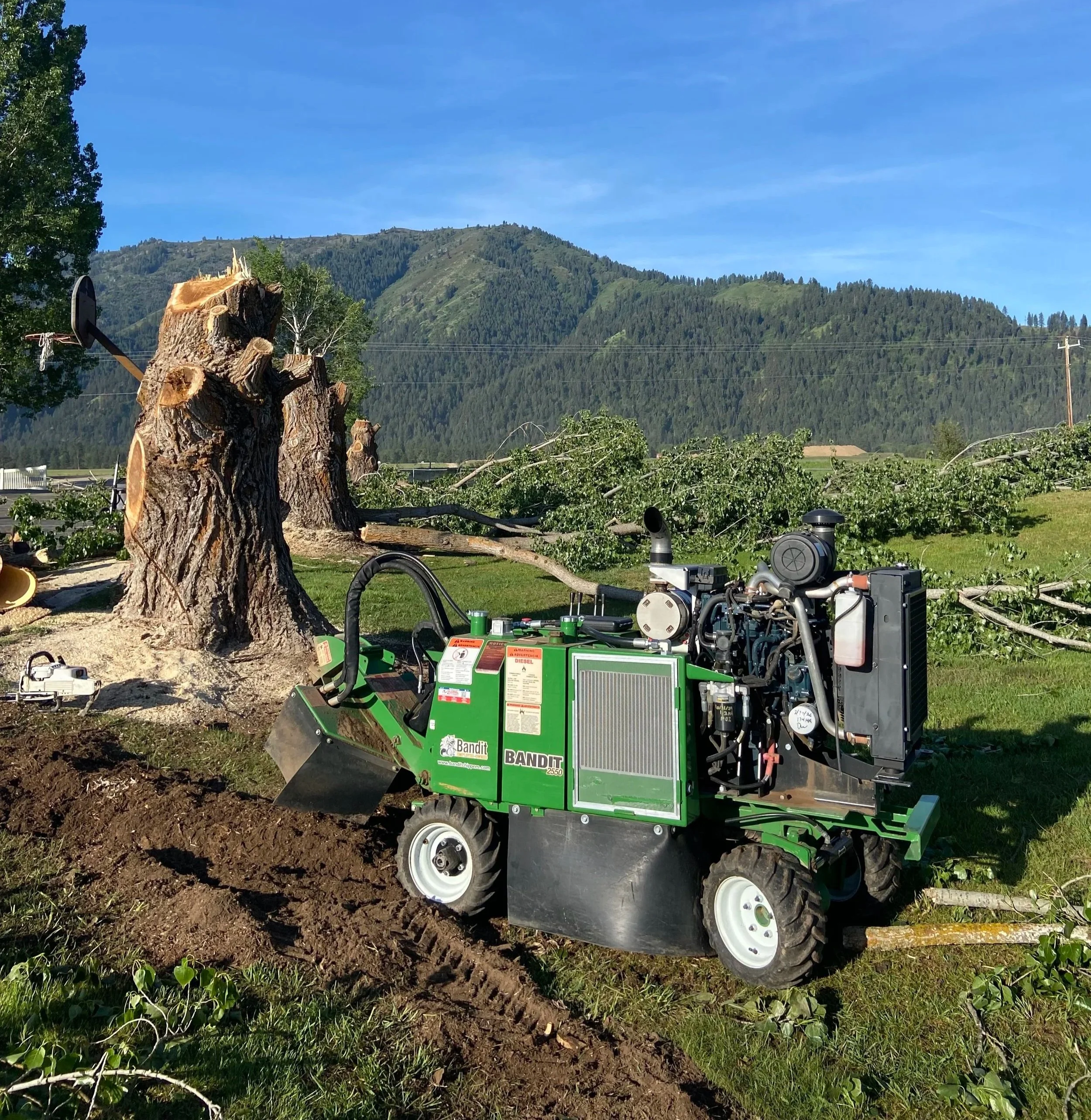 Two men working on lawn maintenance; one man is mowing the grass while the other is trimming bushes with a weed trimmer; a row of shrubs lines the house on the right, and a green lawn extends across the foreground; the sky is clear and blue.