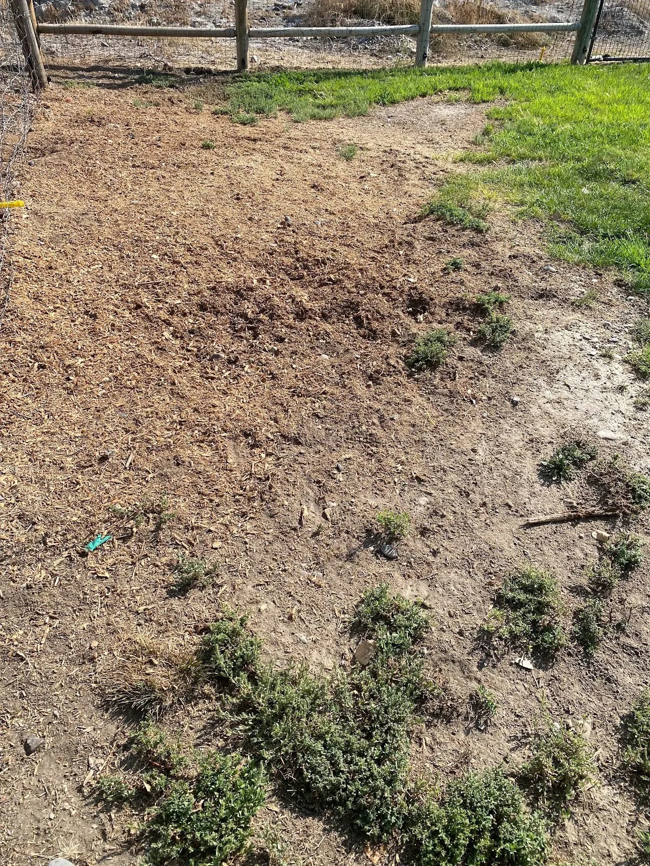 After: level ground after large tree stump removal in Boise, Idaho