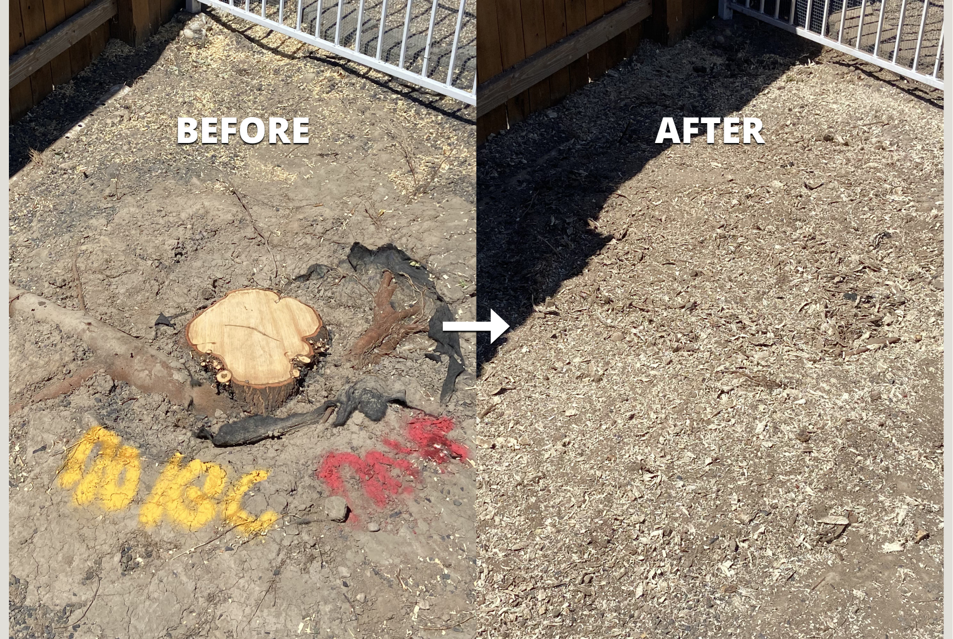 Comparison photo showing a dirt ground with a tree stump and painted markings in the 'before' image, and the same ground cleared of debris in the 'after' image.