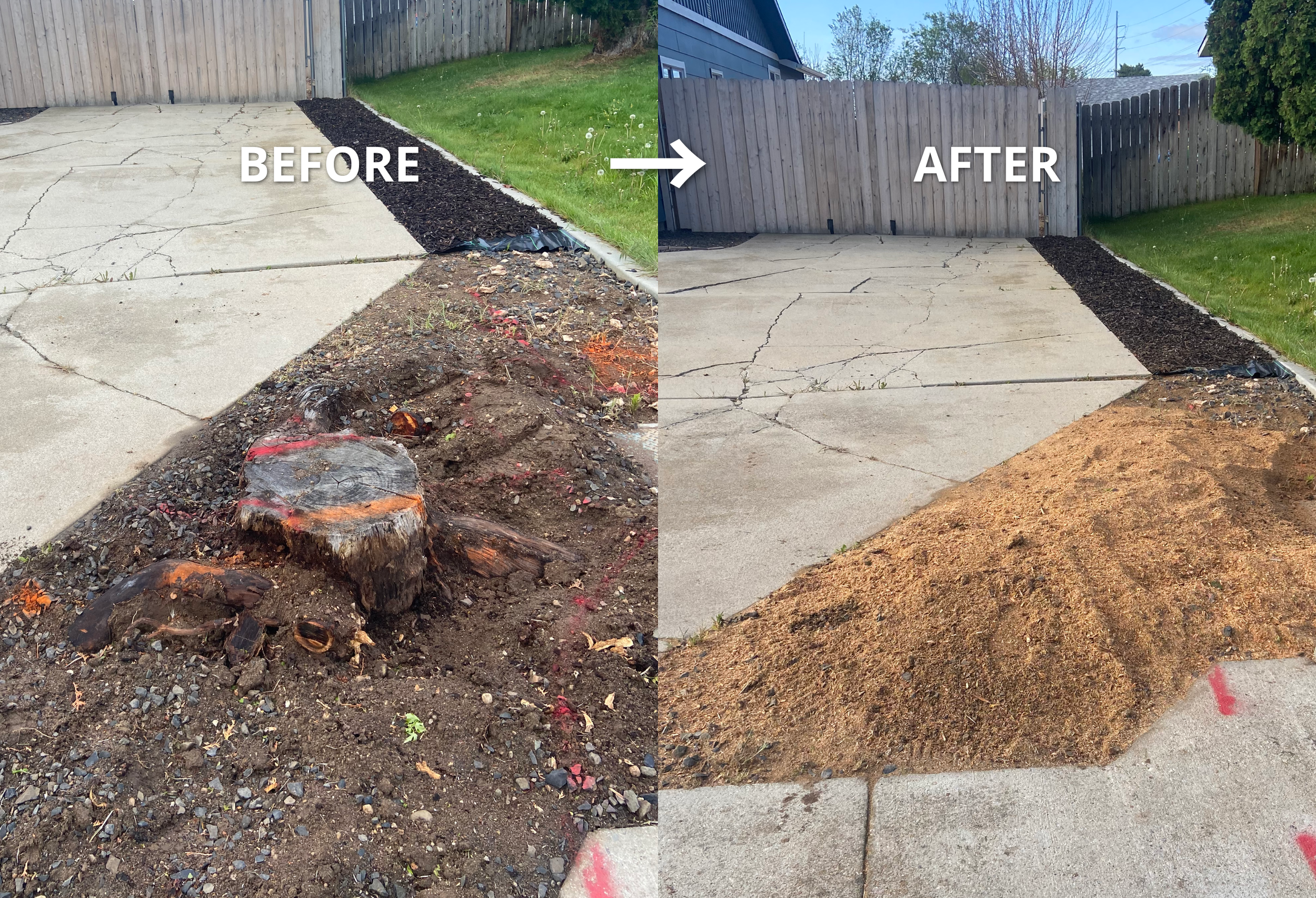 Side-by-side comparison of a cracked concrete driveway before and after repairs. The left side shows the driveway with large cracks, dirt, and a tree stump, while the right side shows the same driveway with cracks filled and repaired.