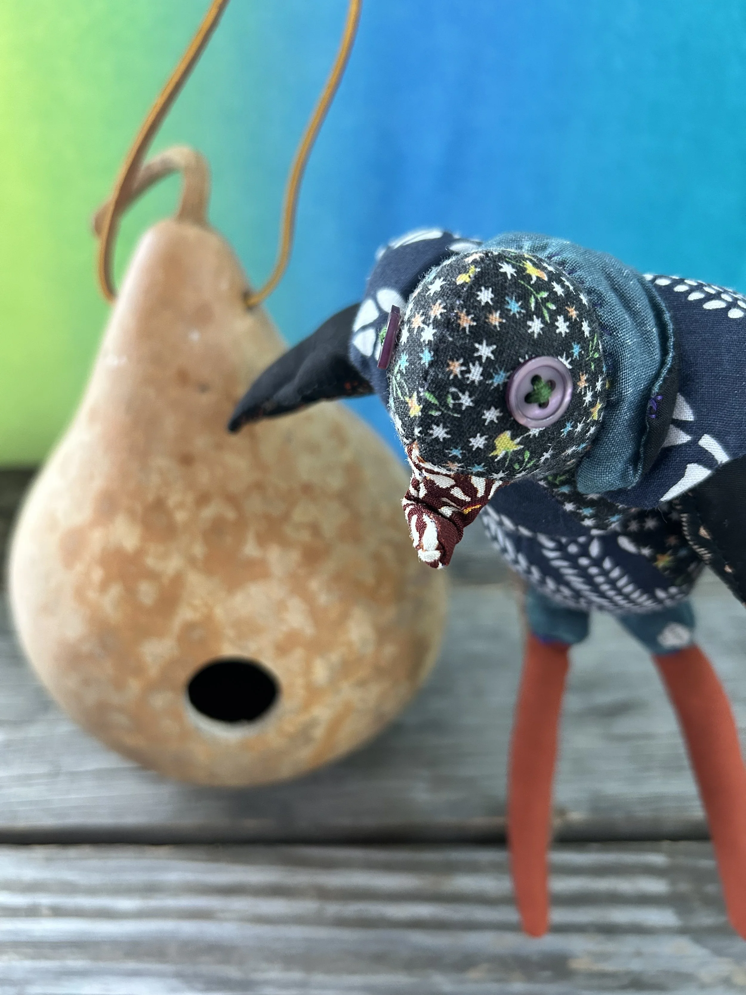 Birdhouse Gourd Workshop