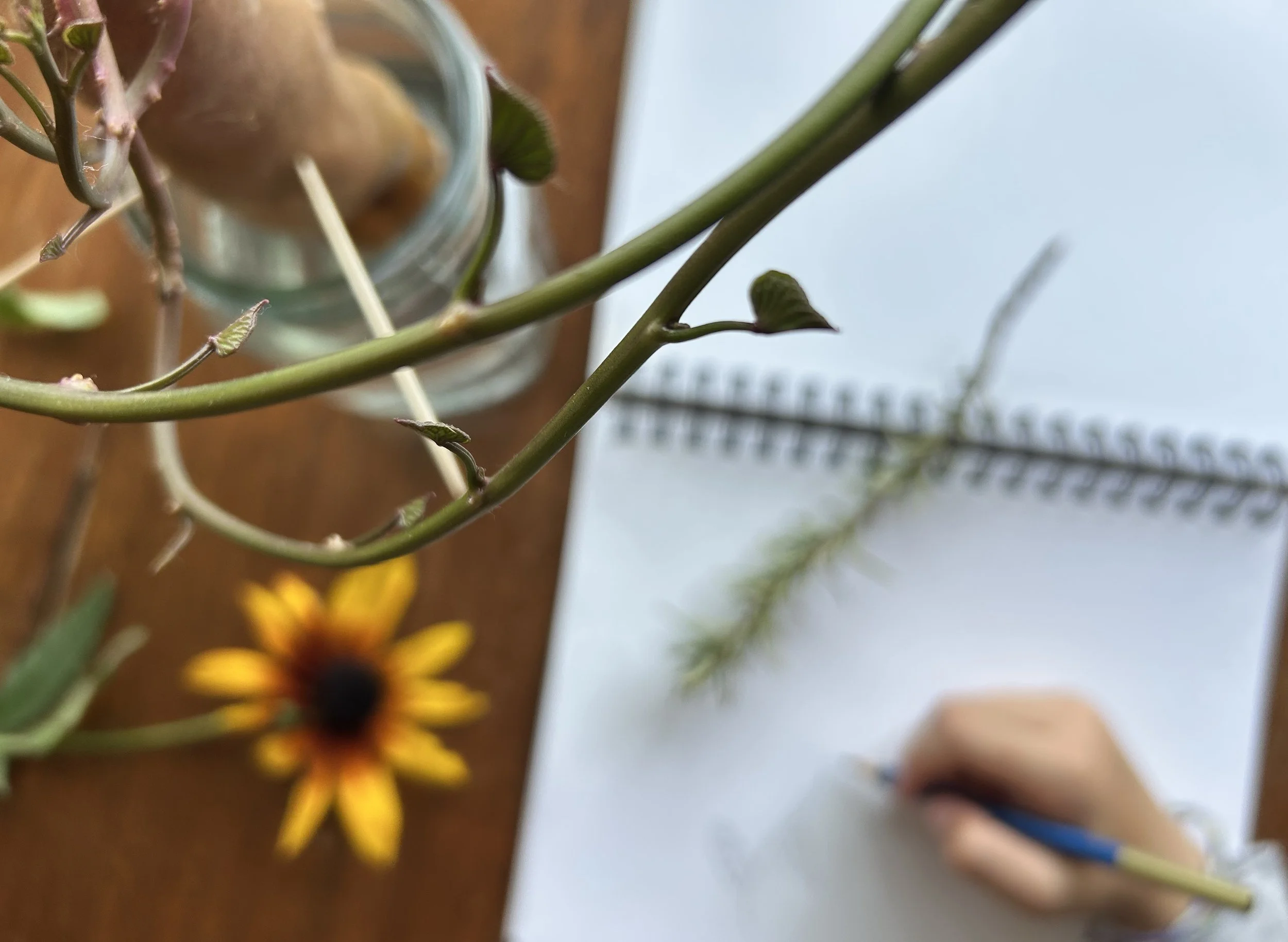 Close-up of a flower and green plant stems with a blurred background.