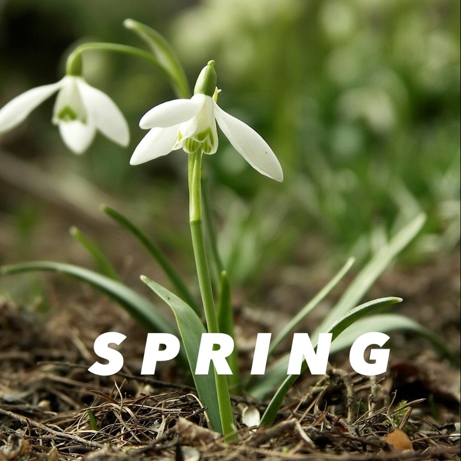 SPRING is here 🌱

There&rsquo;s something so special about living in the Northeast&mdash;getting to feel the seasons shift so fully. The thaw, the light returning, the quiet beginning again. After a long winter, the time has come. 

Happy Spring, Fr