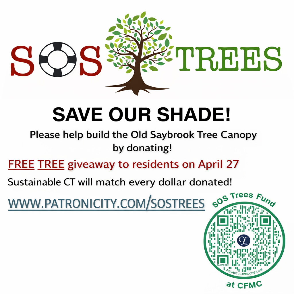 SOS Trees // OLD SAYBROOK
