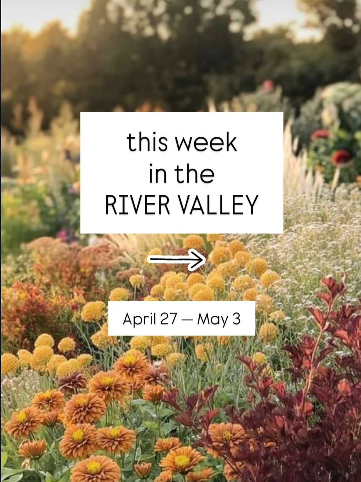 Here are a few things happening around the River Valley this week!

Save. Share. Support Local ♡︎

&bull;

#rvccollective #rvcc #ctrivervalley 
#supportlocal #rivervalleyhappenings