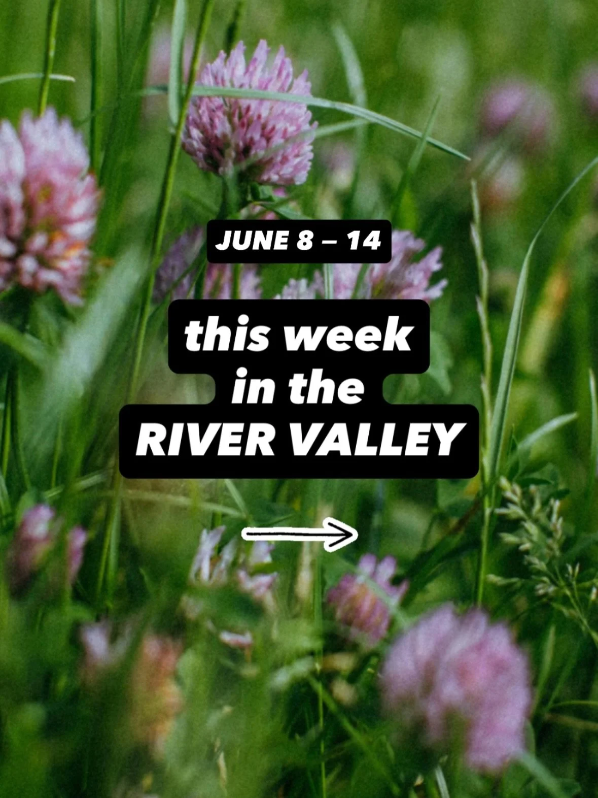 This Week in the River Valley 〰️
Here are a few things happening around the River Valley this week!

Save. Share. Support Local ♡︎

&bull;

#rvccollective #rvcc #ctrivervalley 
#supportlocal #rivervalleyhappenings