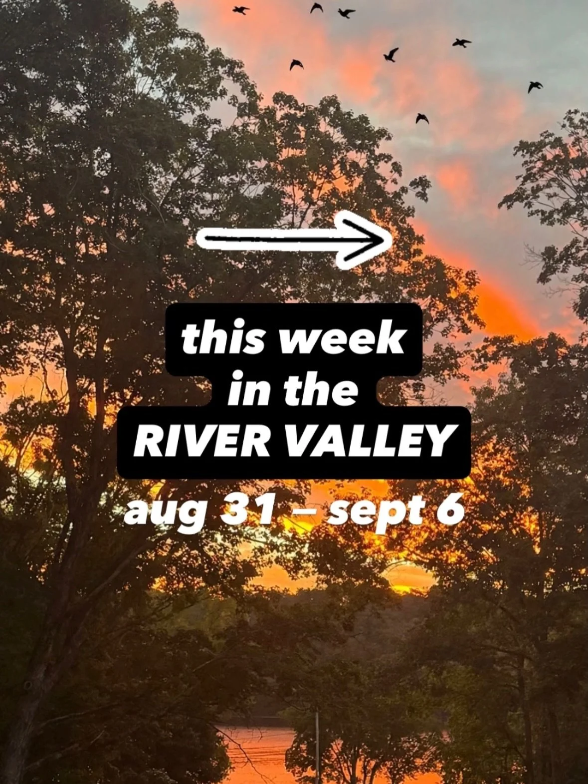This Week in the River Valley 〰️
Here are a few things happening around the River Valley this week!

Save. Share. Support Local ♡︎

&bull;

#rvccollective #rvcc #ctrivervalley 
#supportlocal #rivervalleyhappenings