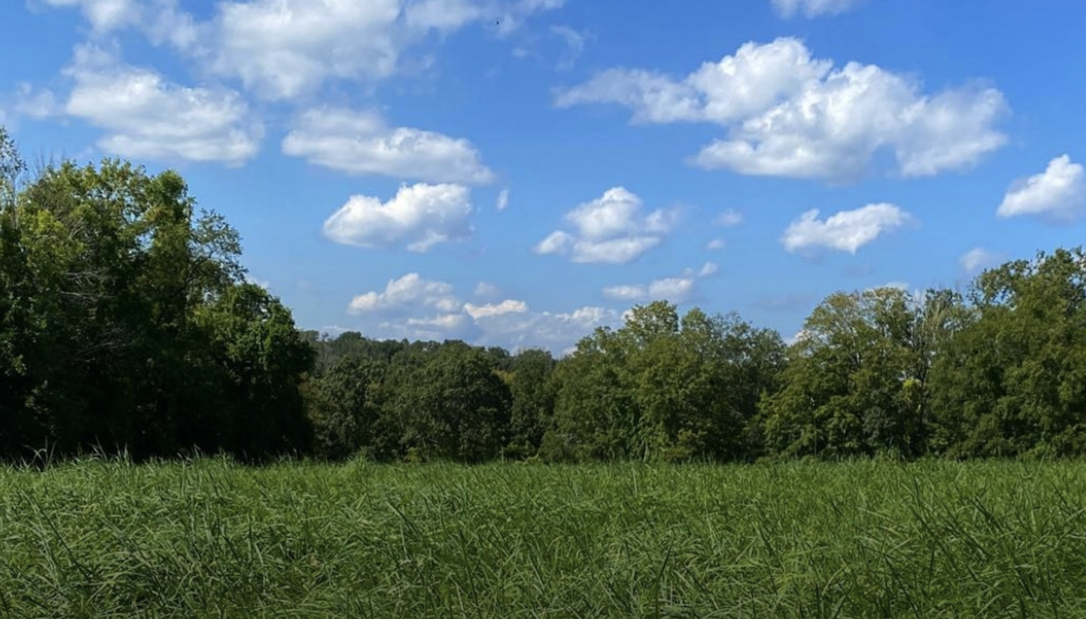 Brainard Homestead State Park