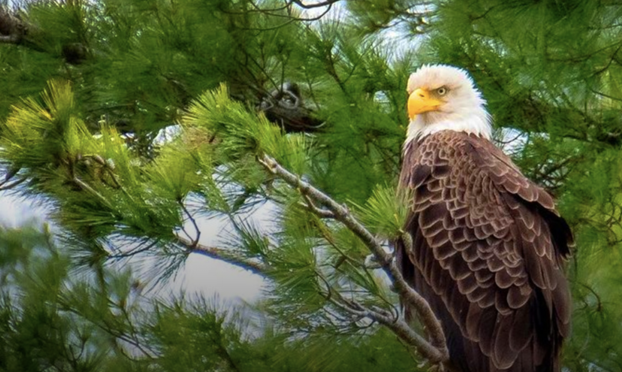 Eagle Landing State Park