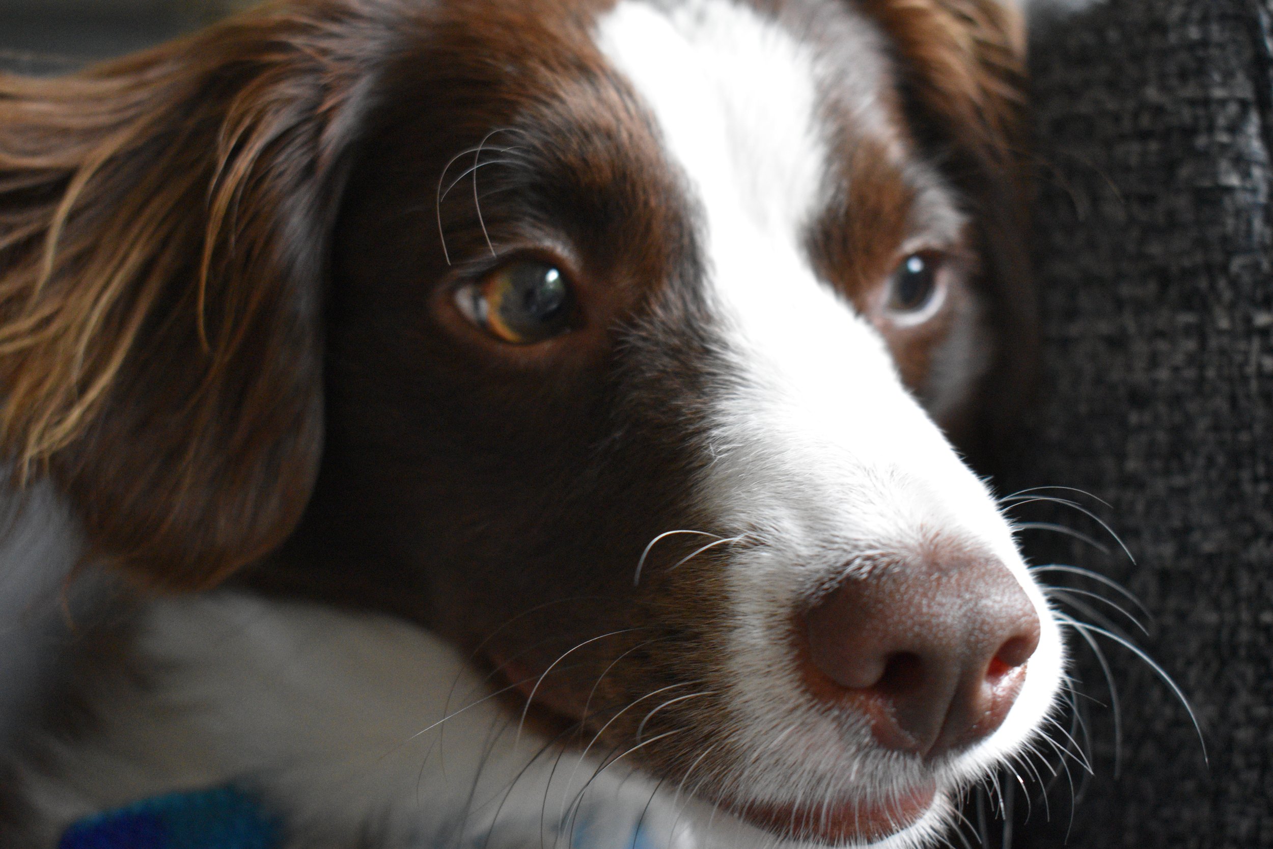 DSC_1259.JPEG